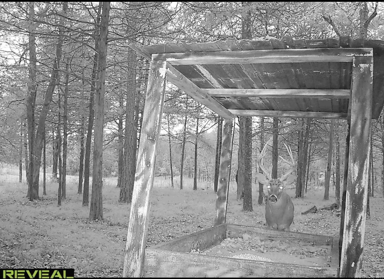 0 Camp Tahkodah  Floral, AR