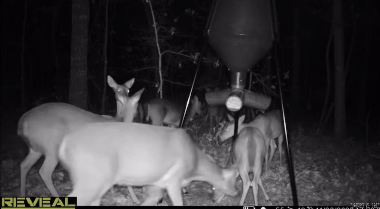 0 Camp Tahkodah  Floral, AR