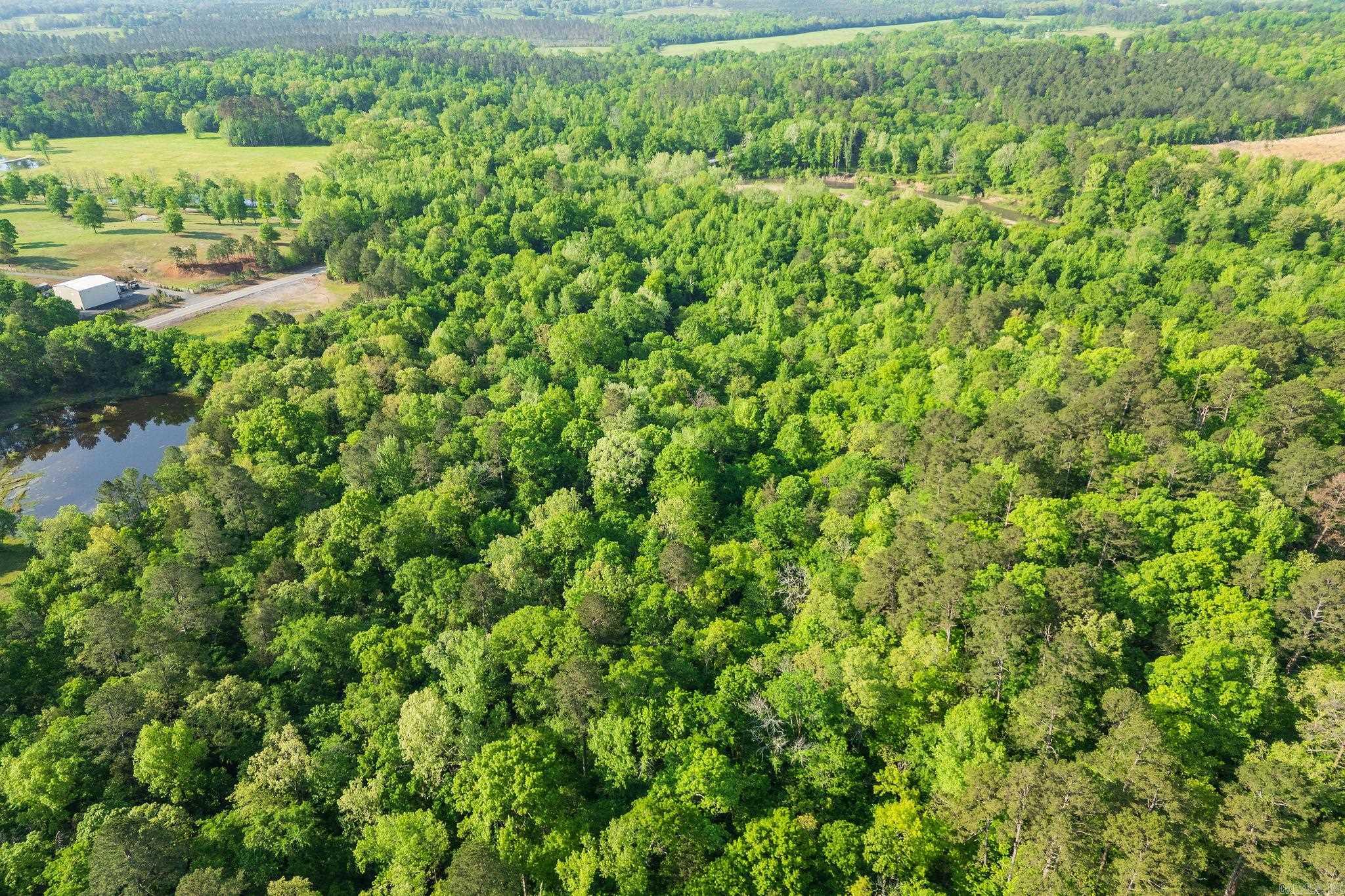 22.62 Acres Hwy 84  Amity, AR