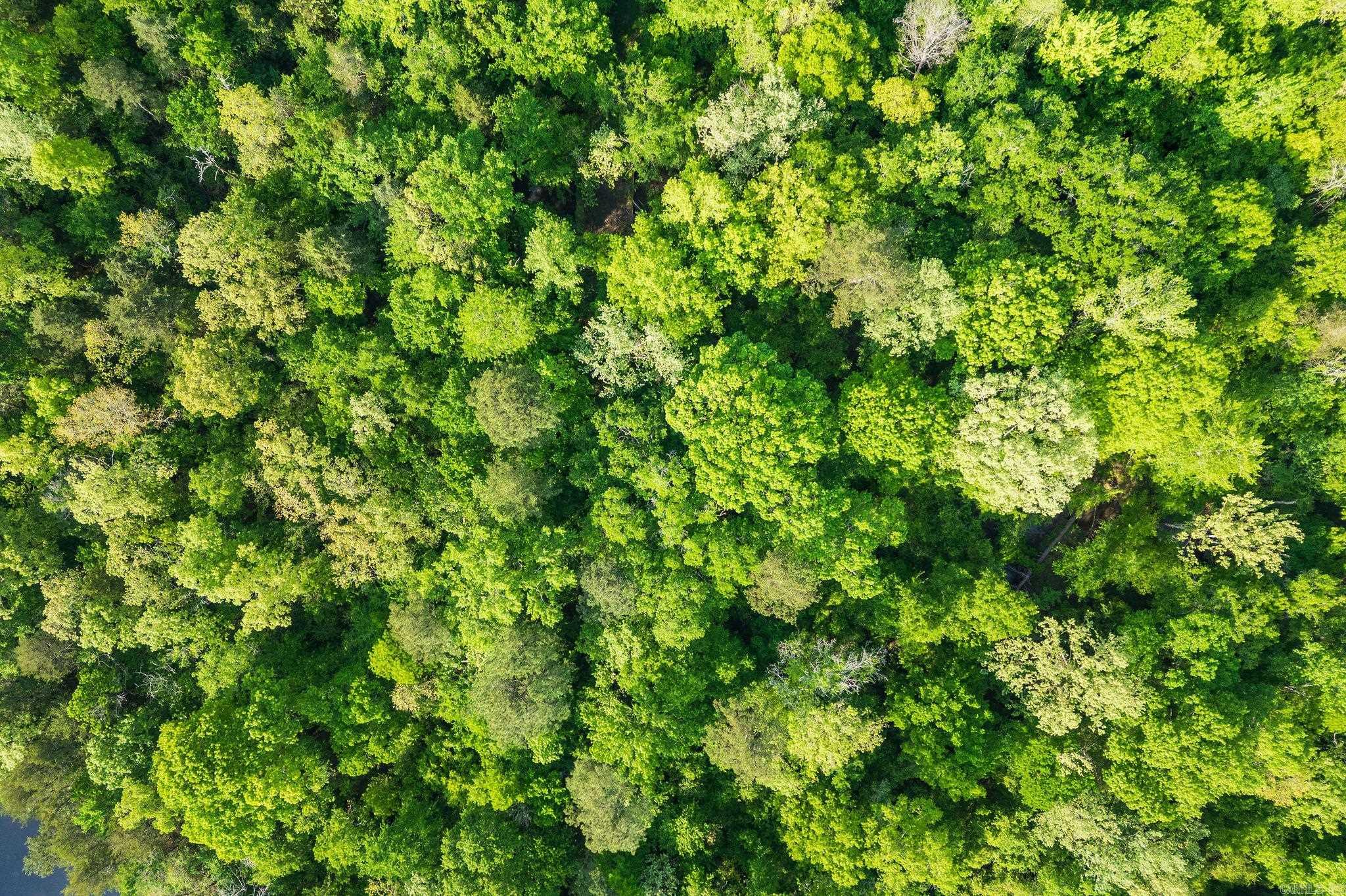 22.62 Acres Hwy 84  Amity, AR