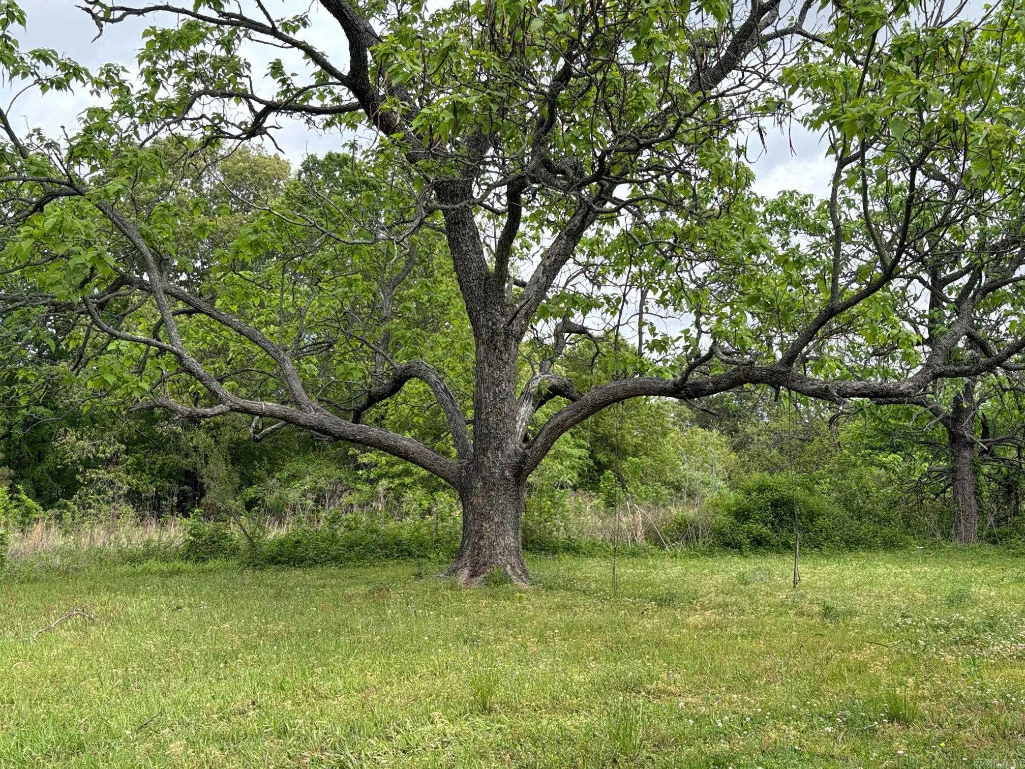 3311 Highway 425  Pine Bluff, AR