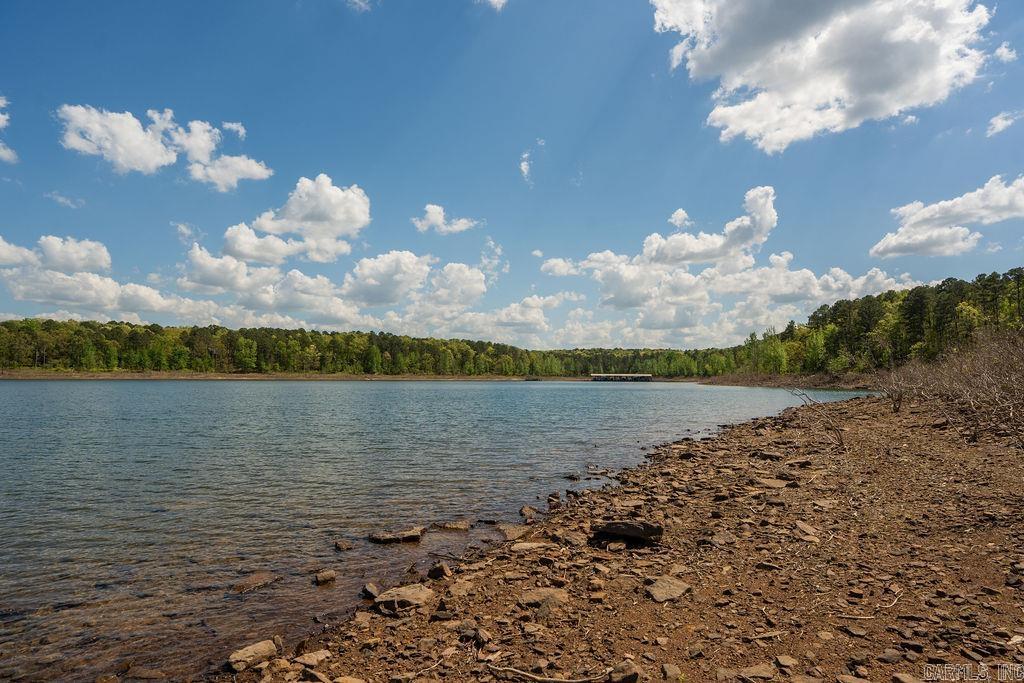 180 Silver Shores Ln.  Drasco, AR