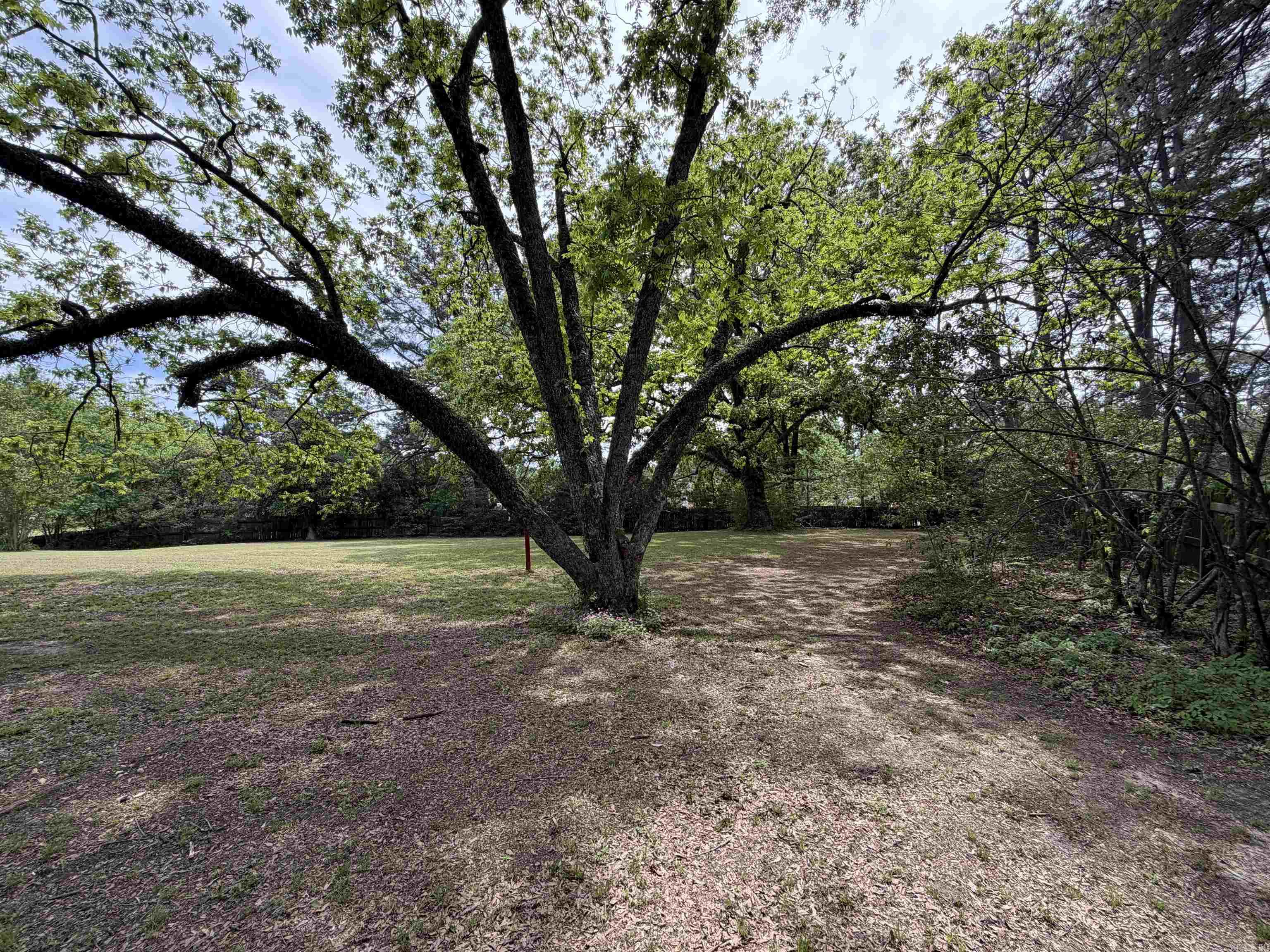 310 W Magnolia  Rison, AR