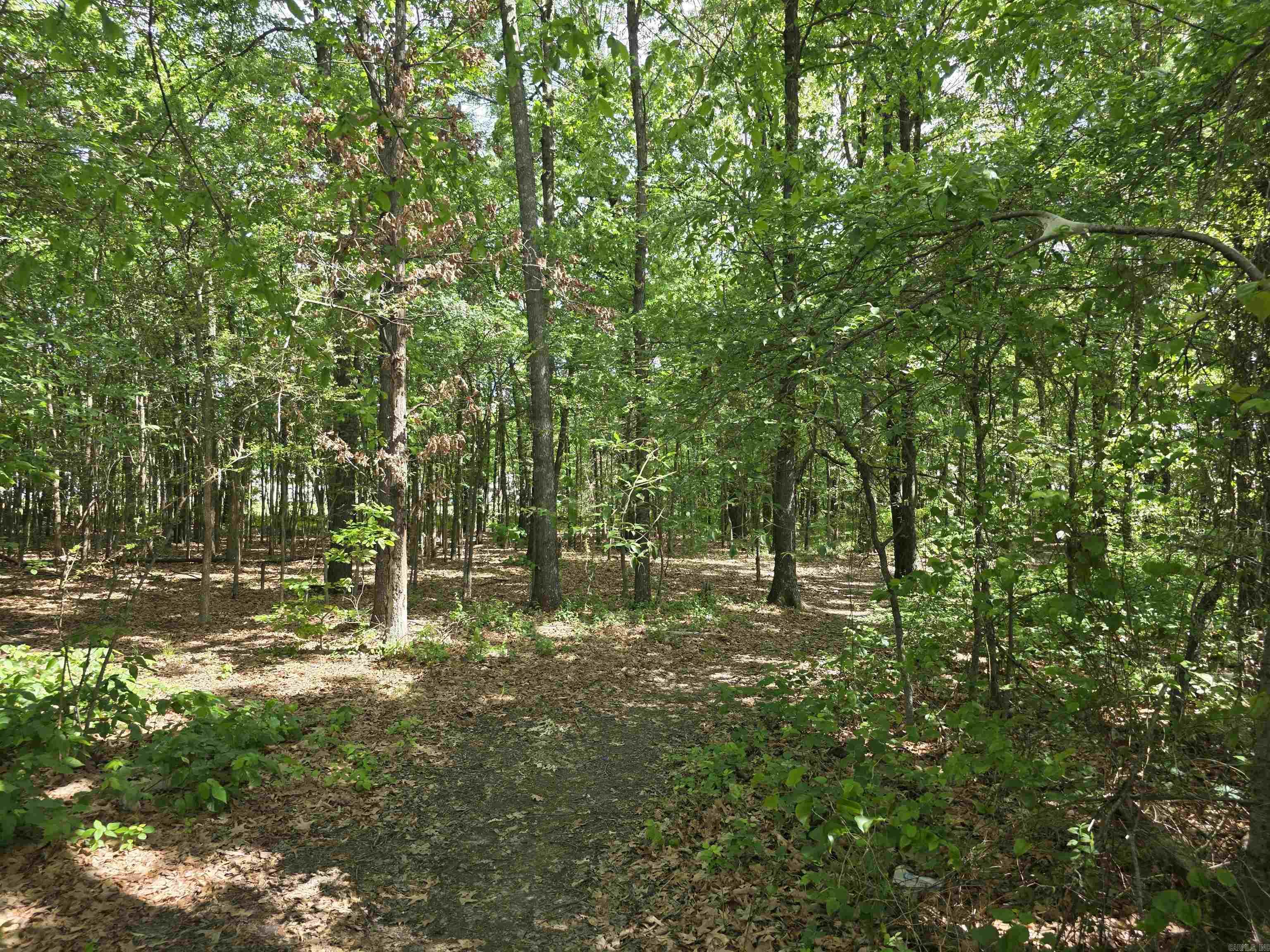 0 15th ave  Paragould, AR