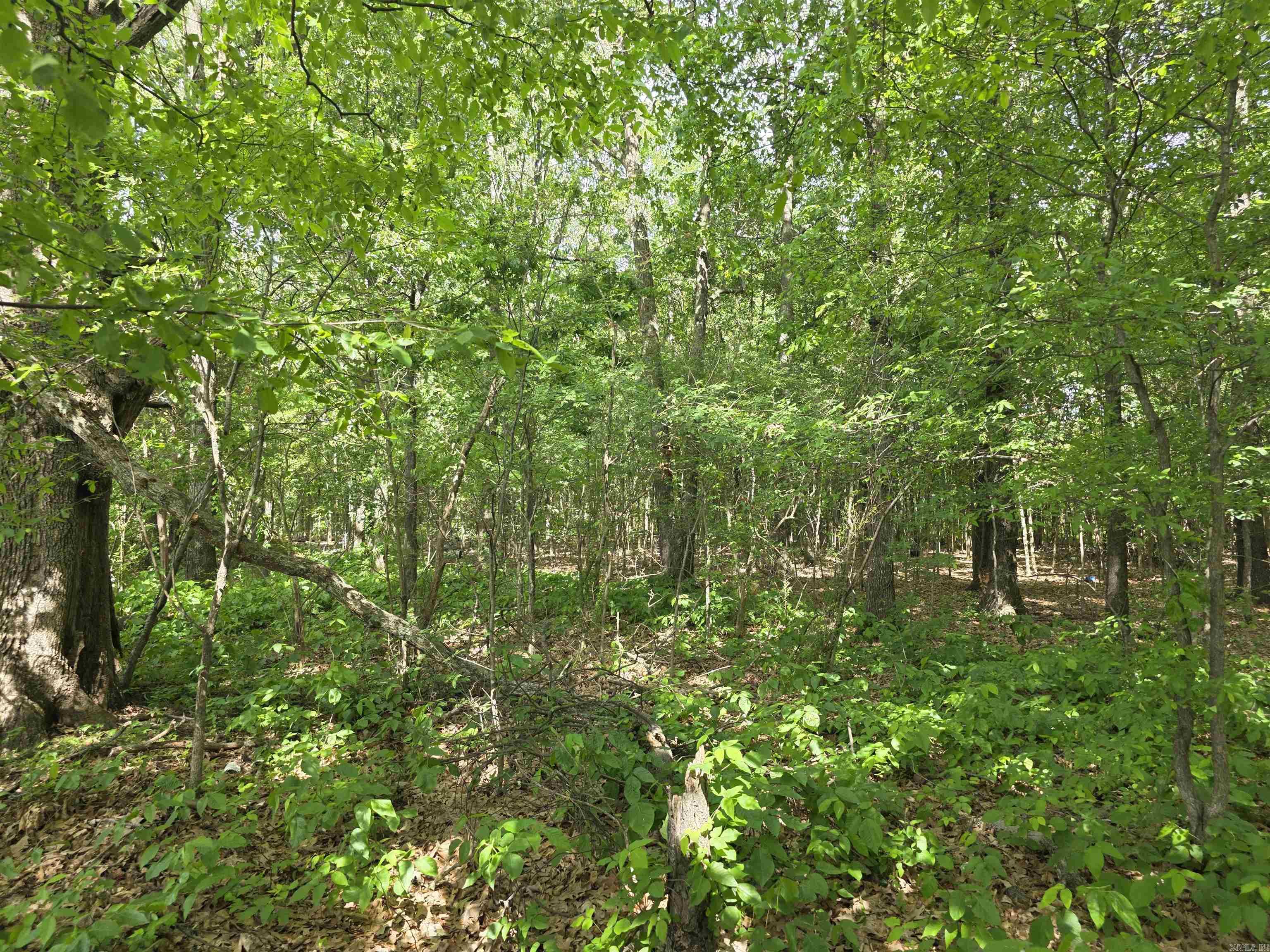 0 15th ave  Paragould, AR