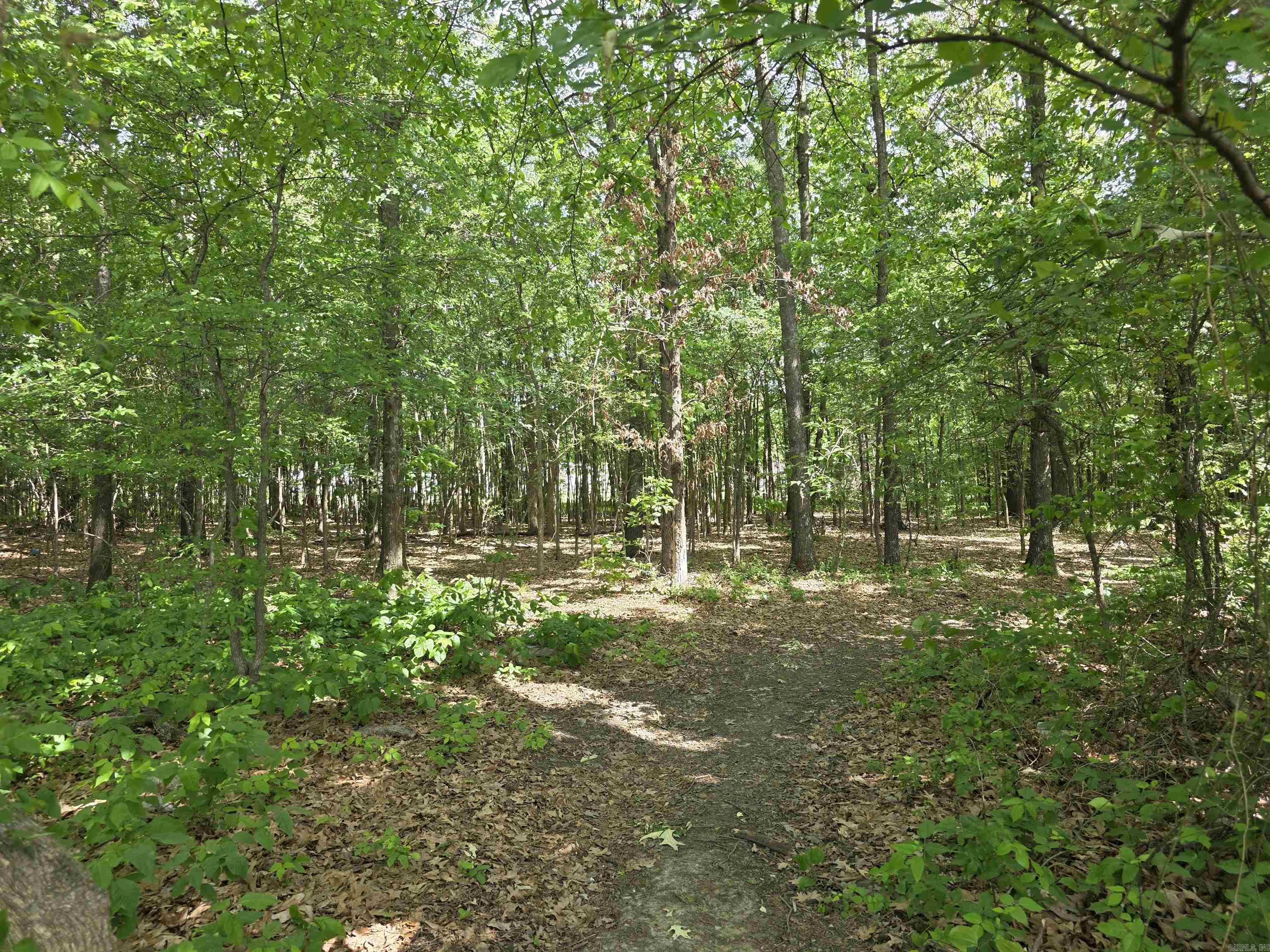 0 15th ave  Paragould, AR