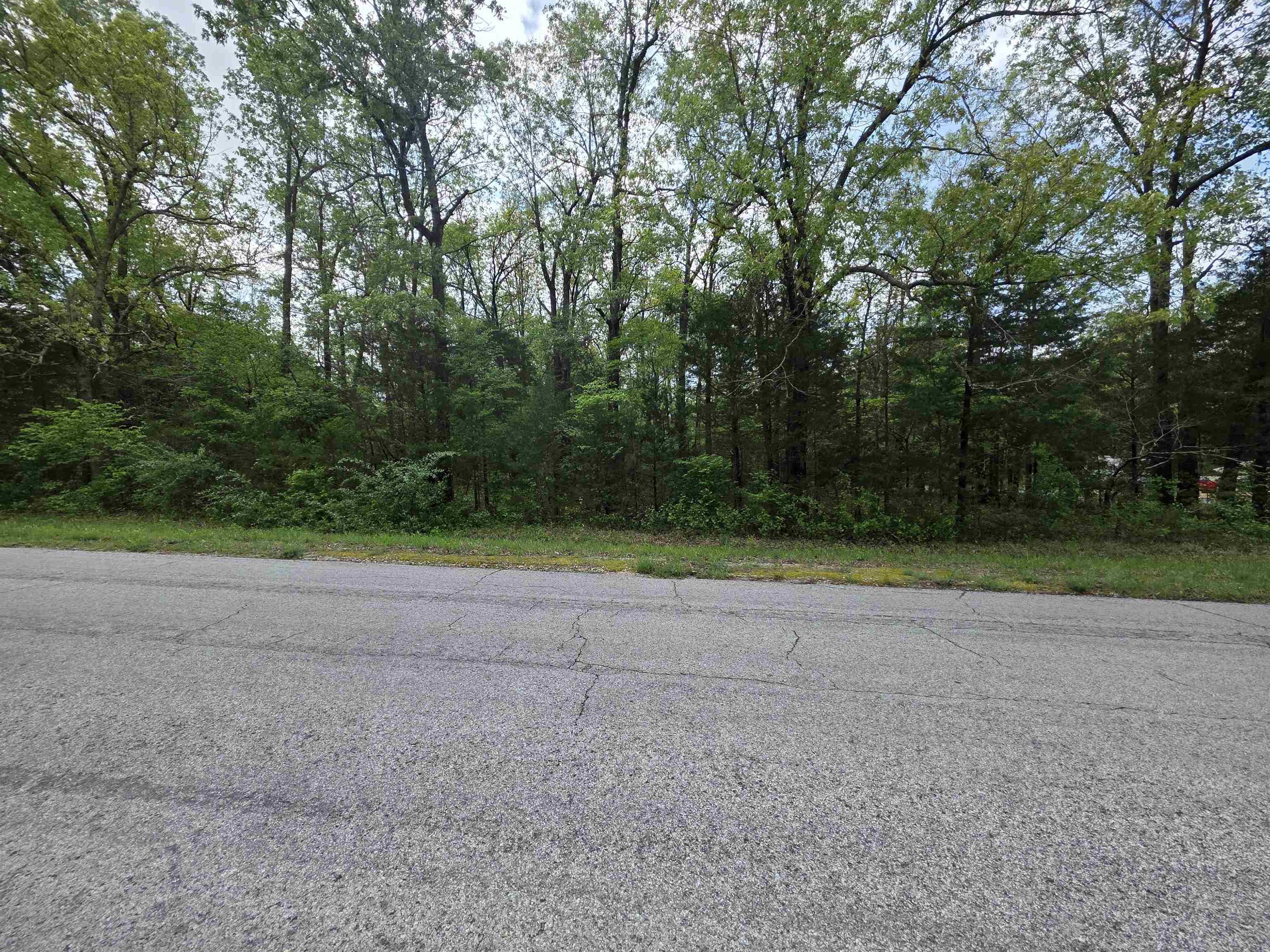 704 E Moonstone  Horseshoe Bend, AR