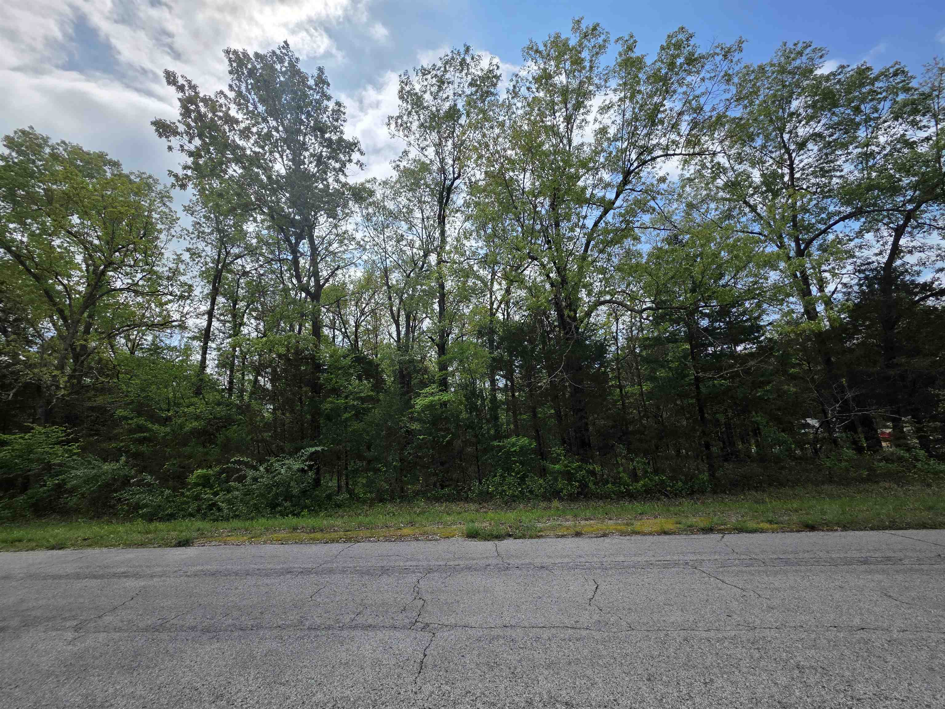 704 E Moonstone  Horseshoe Bend, AR