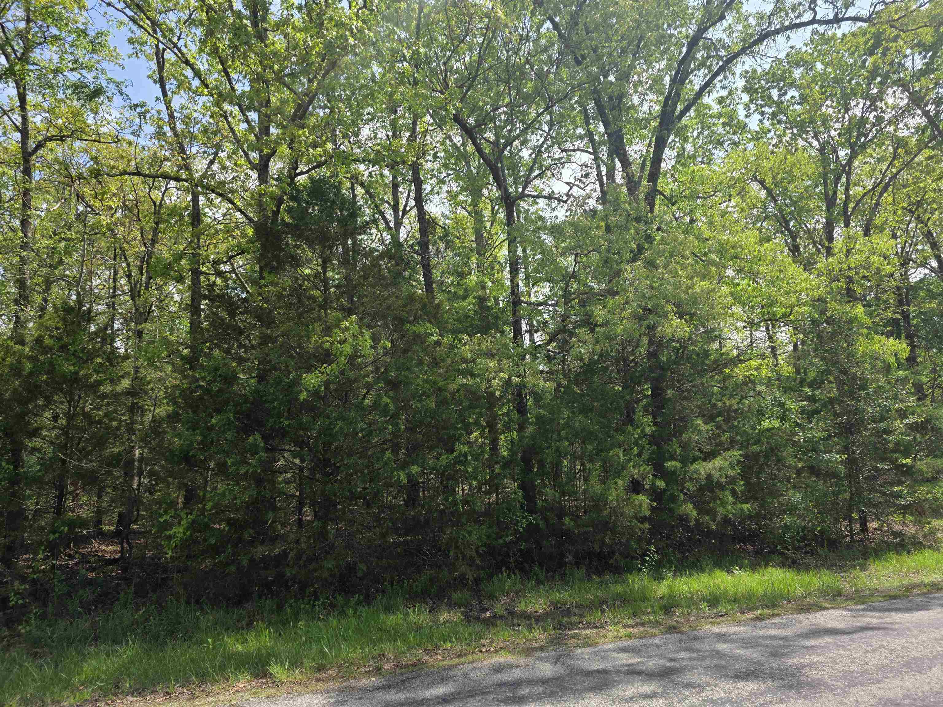 704 E Moonstone  Horseshoe Bend, AR