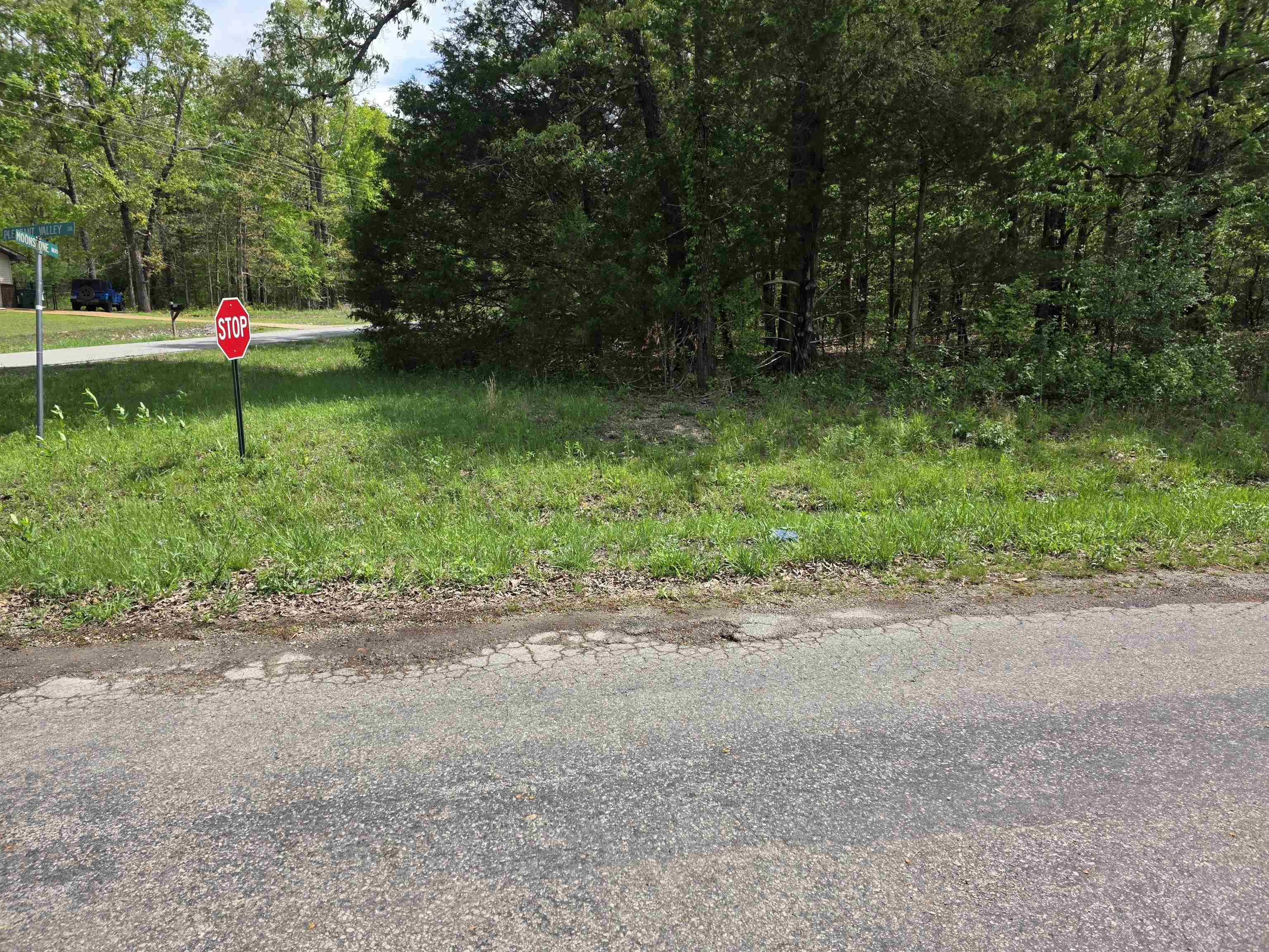 704 E Moonstone  Horseshoe Bend, AR