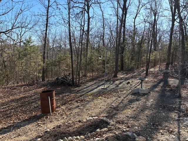 143 MC 2073  Lead Hill, AR