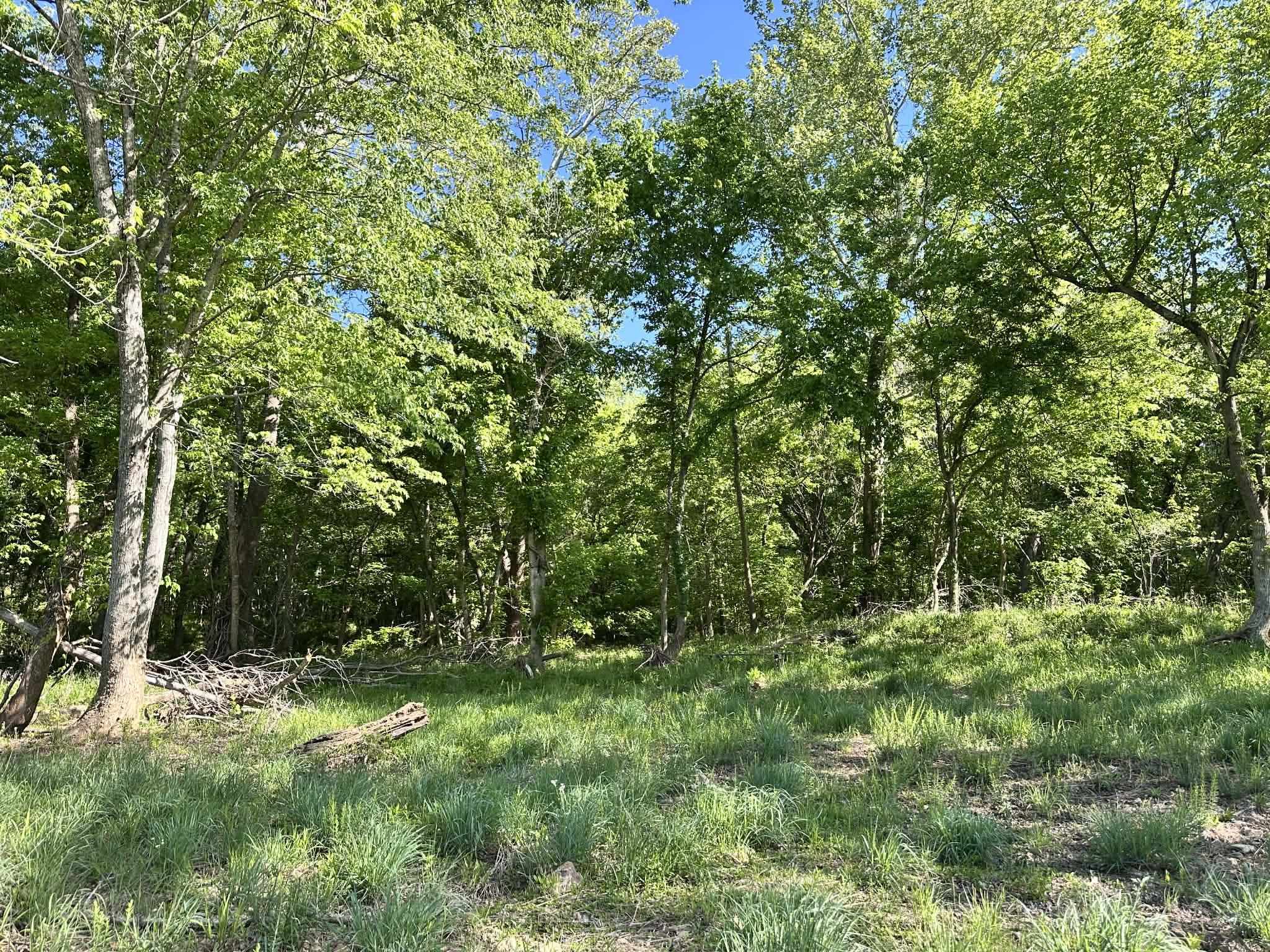 14 Nokonda  Cherokee Village, AR