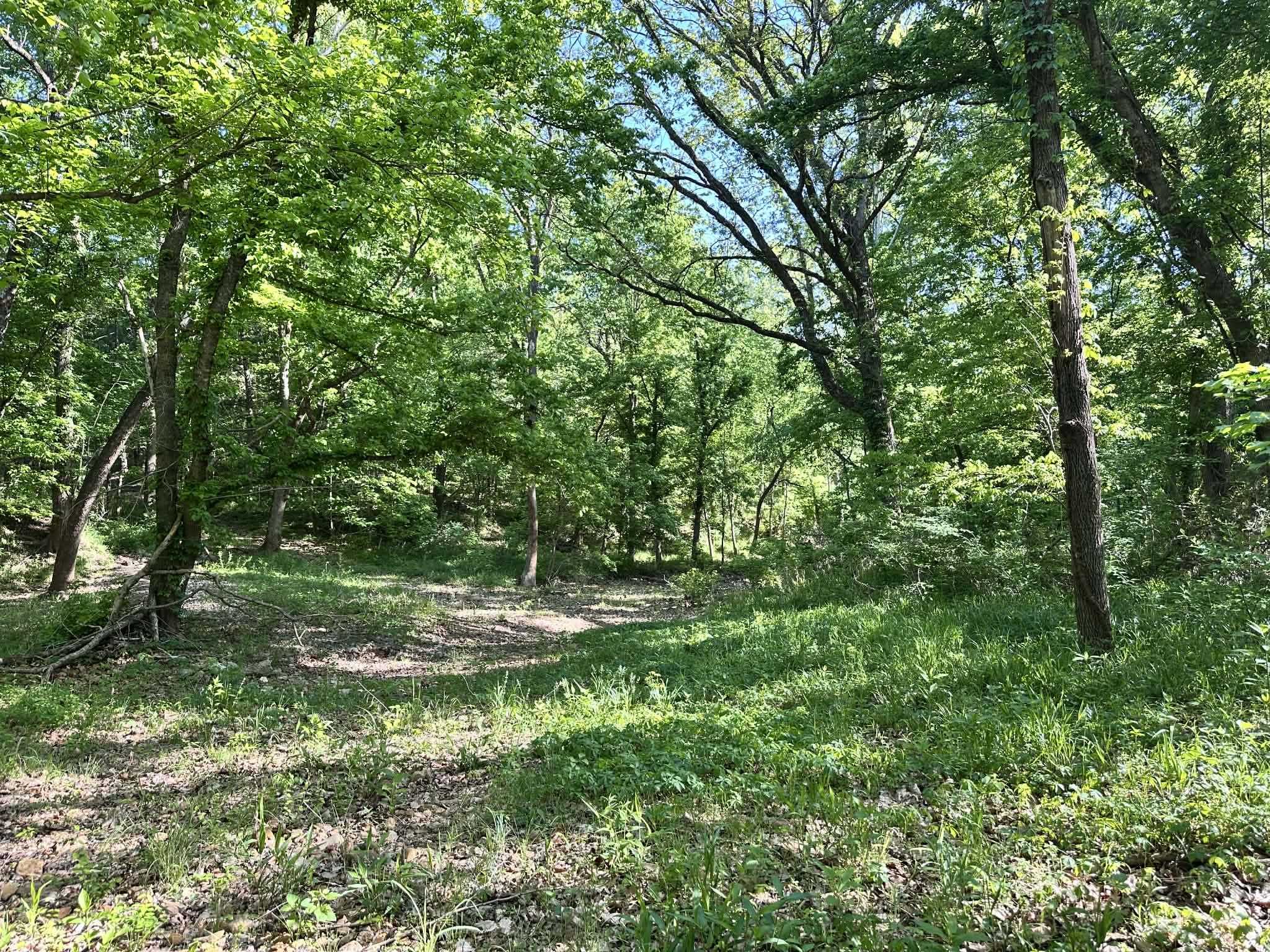 14 Nokonda  Cherokee Village, AR