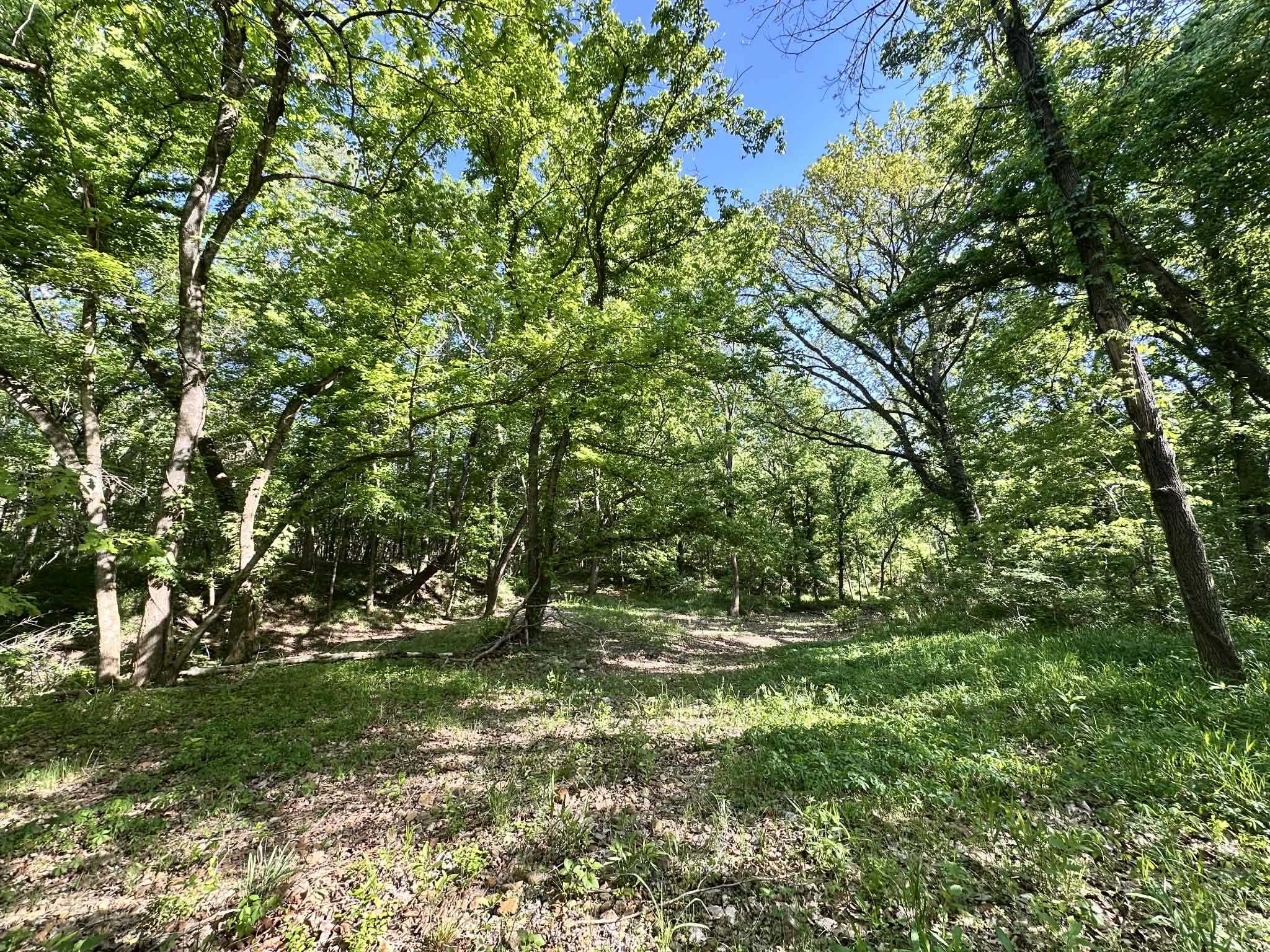 14 Nokonda  Cherokee Village, AR