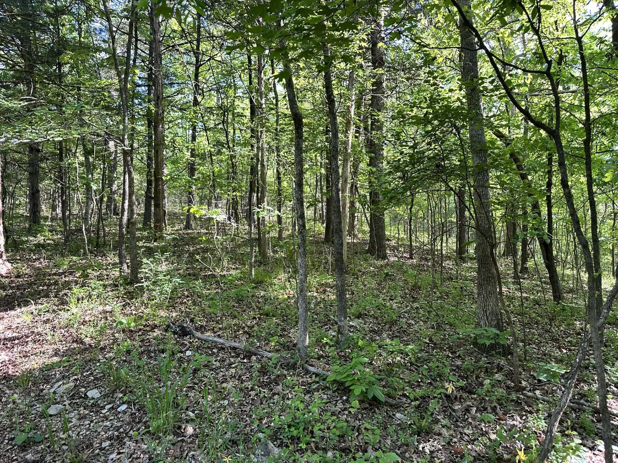 14 Nokonda  Cherokee Village, AR