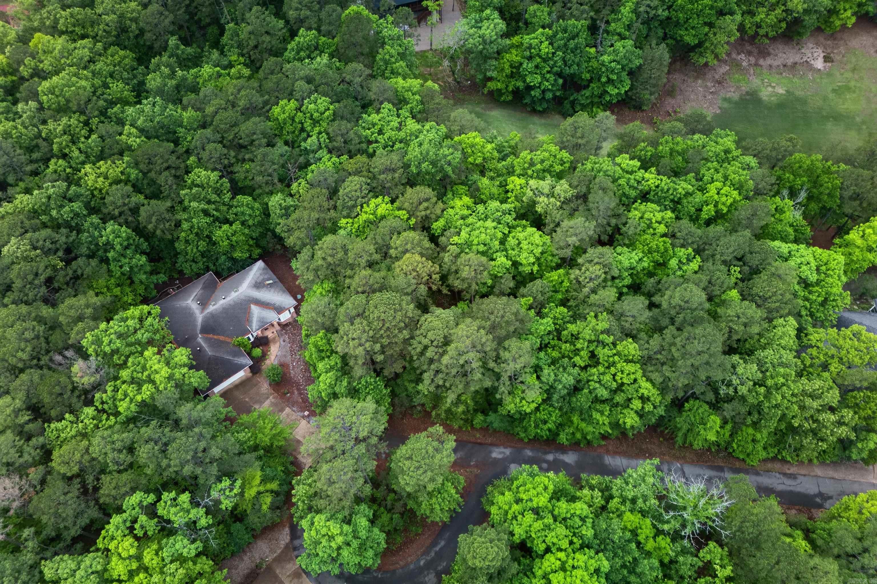 40 Belleza  Hot Springs Village, AR