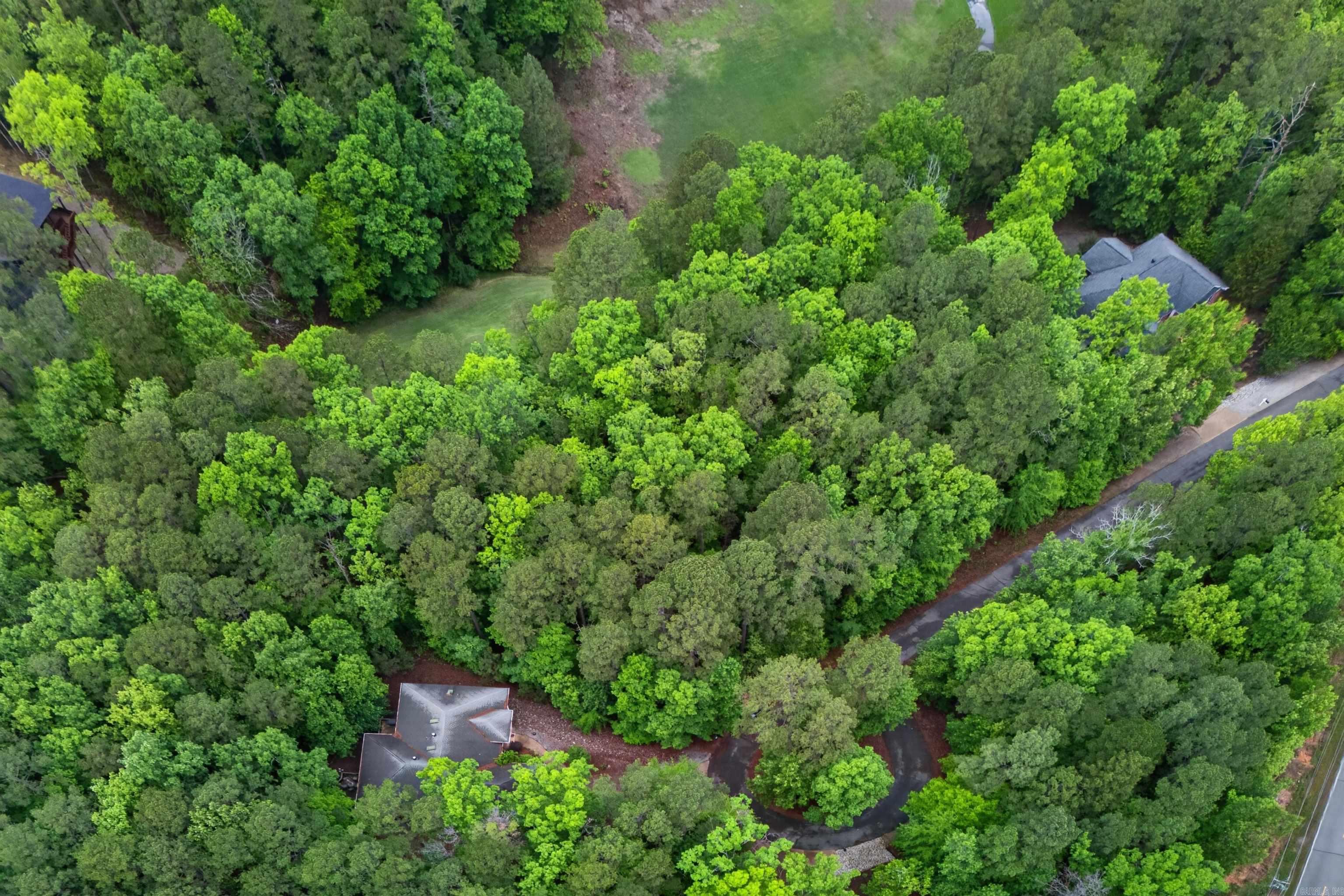 40 Belleza  Hot Springs Village, AR