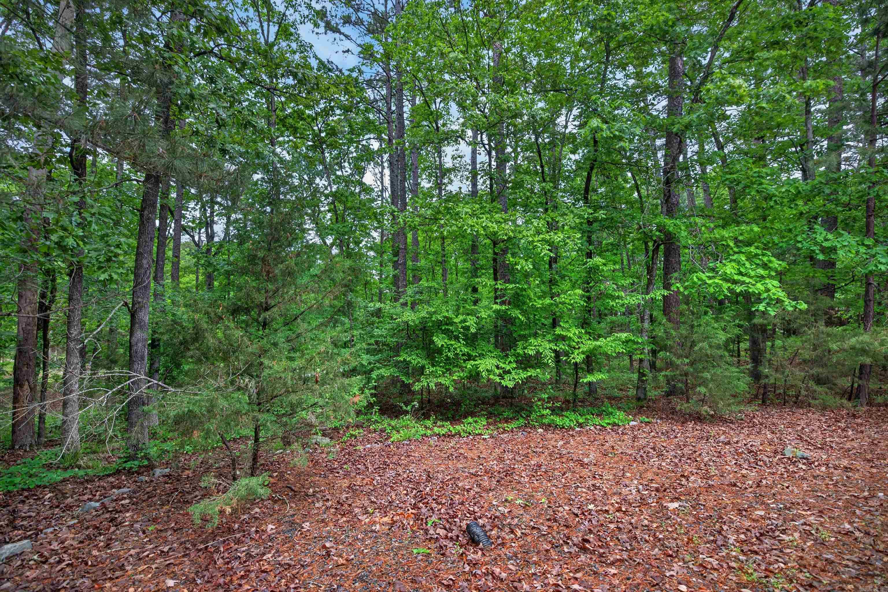 40 Belleza  Hot Springs Village, AR