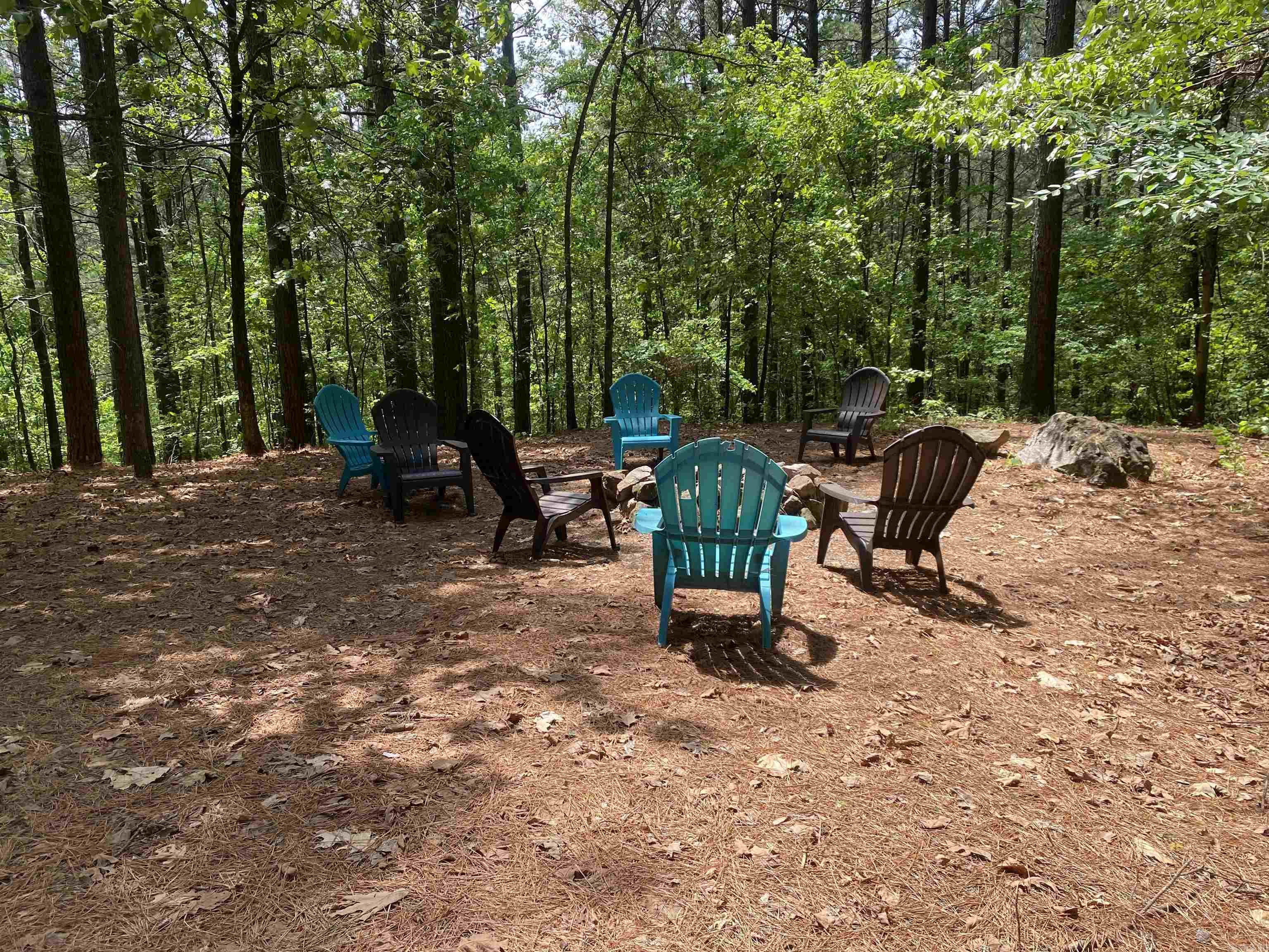 72 Woodland Springs  Mount Ida, AR