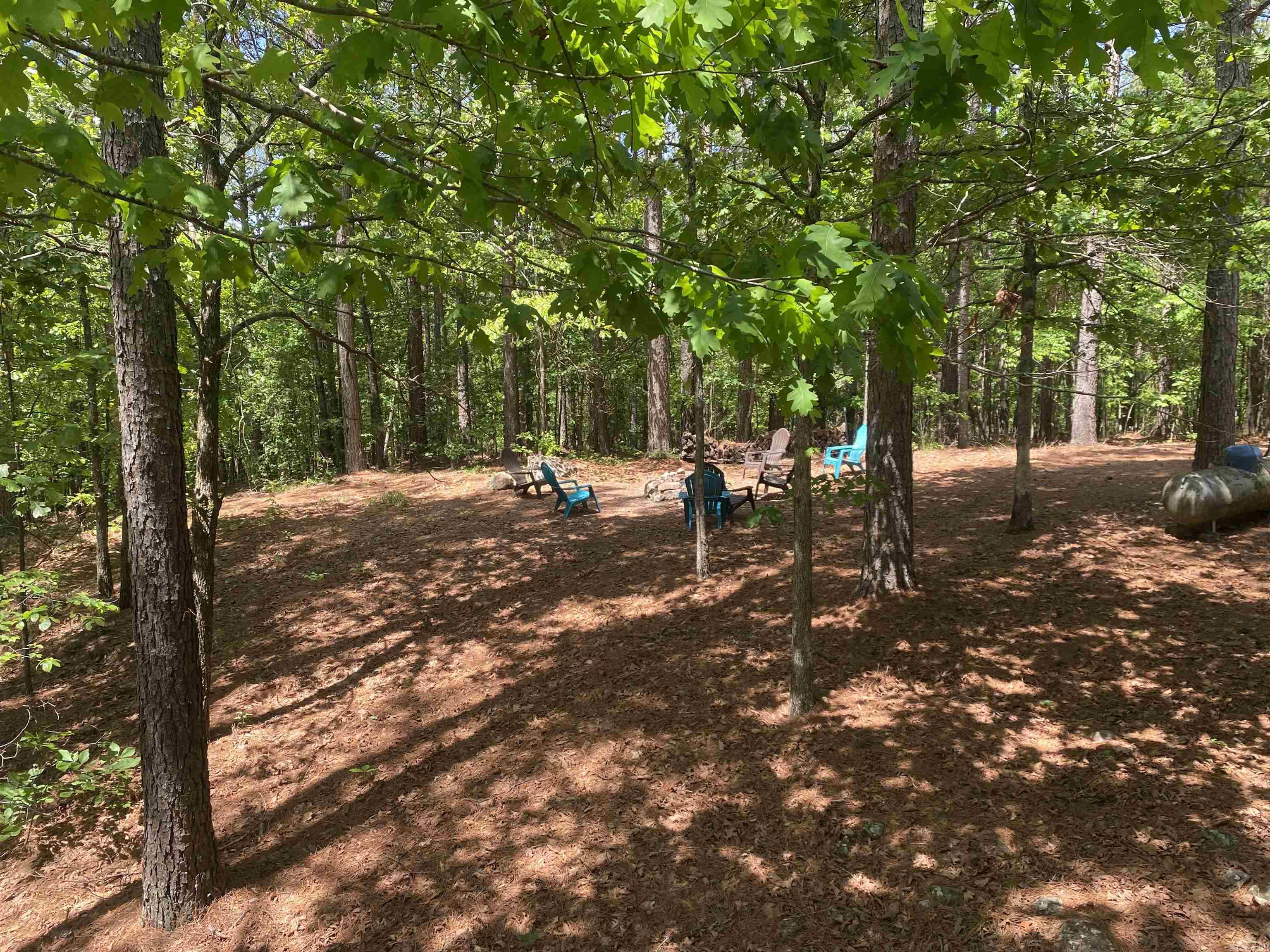 72 Woodland Springs  Mount Ida, AR