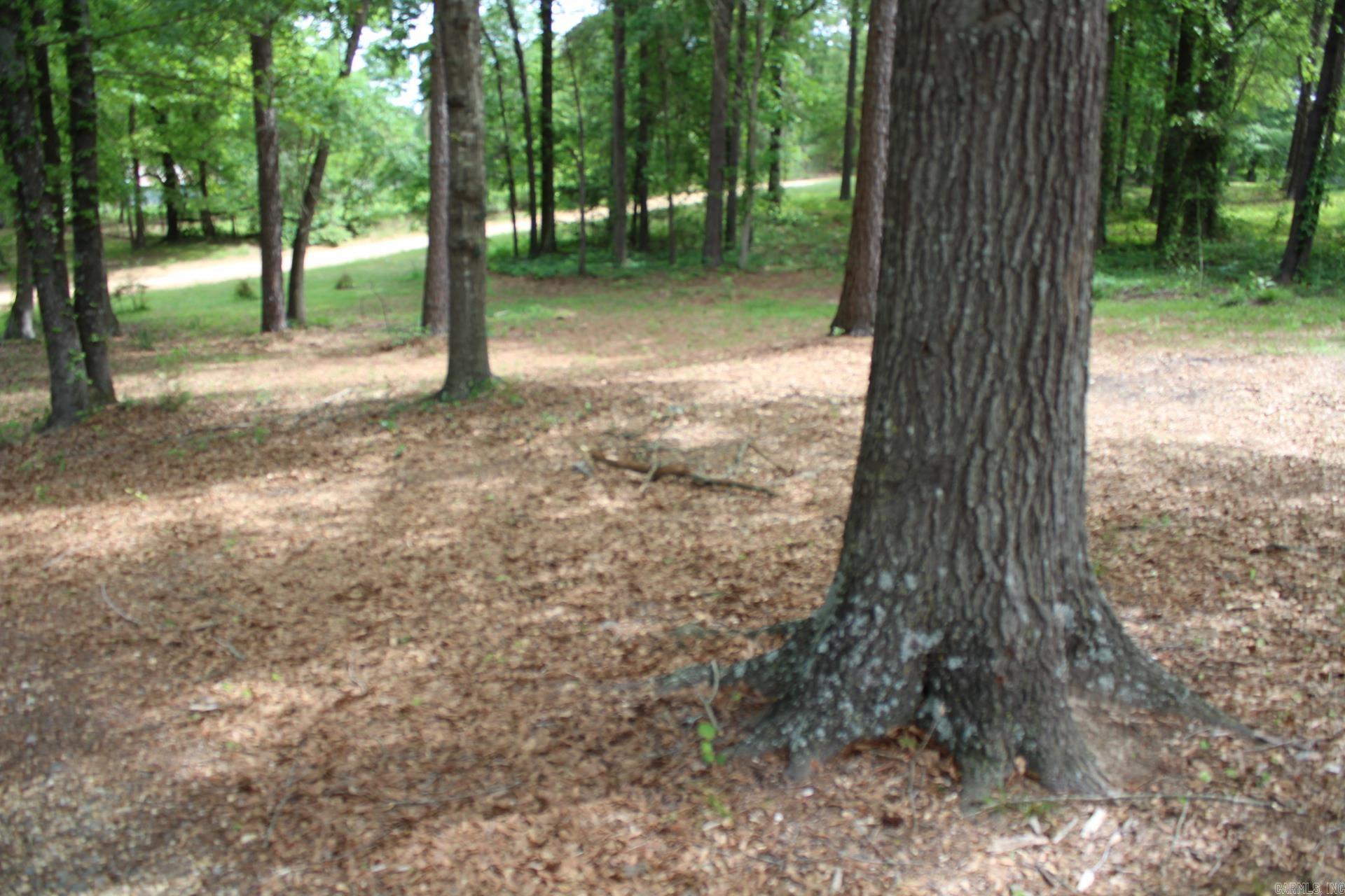 219 Hempstead 345  Nashville, AR