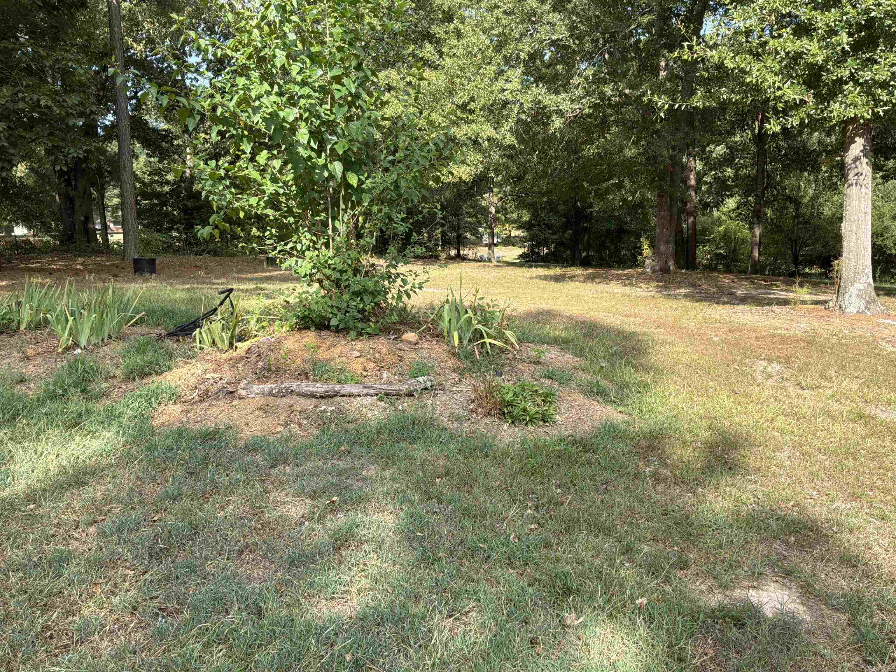 219 Hempstead 345  Nashville, AR