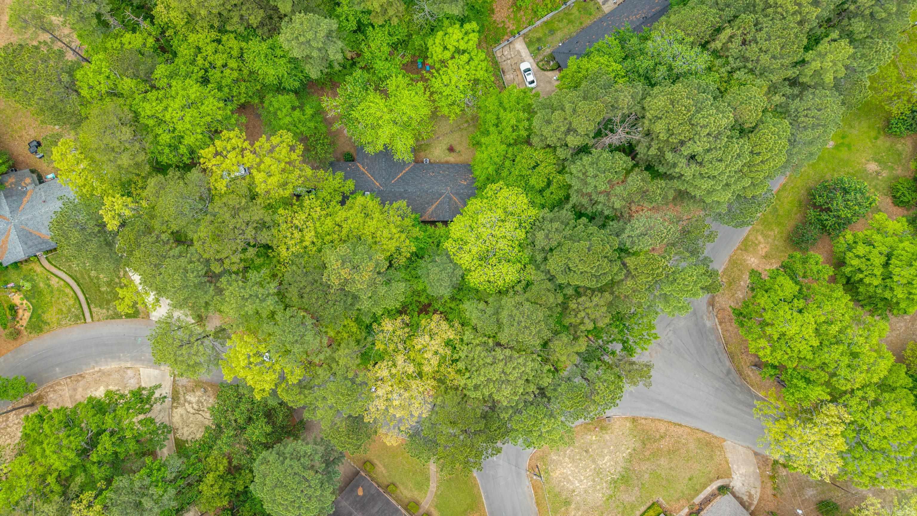 2091 Elaine  Arkadelphia, AR