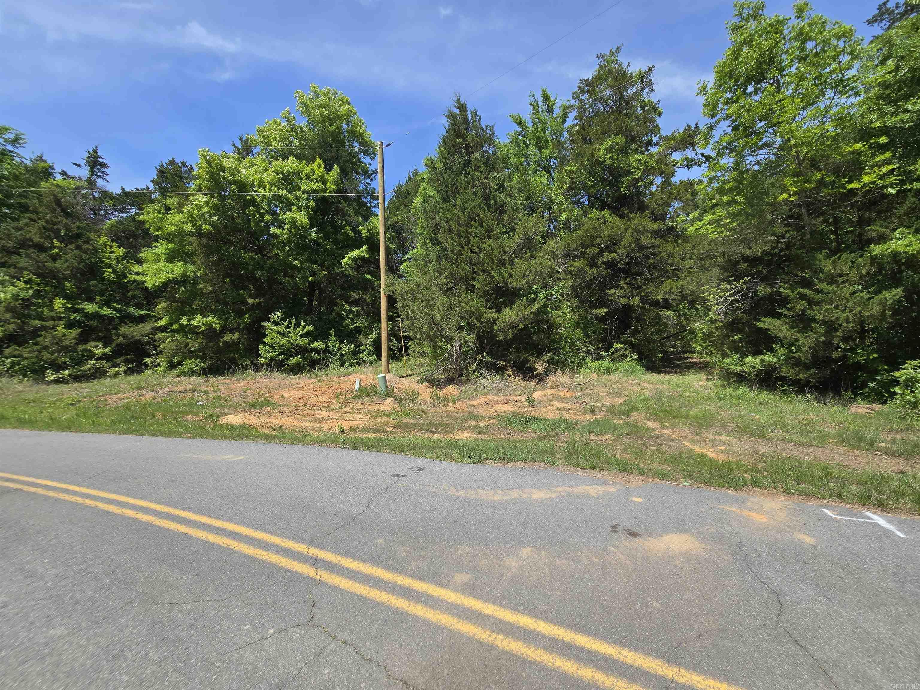 20 Della Carter  Conway, AR