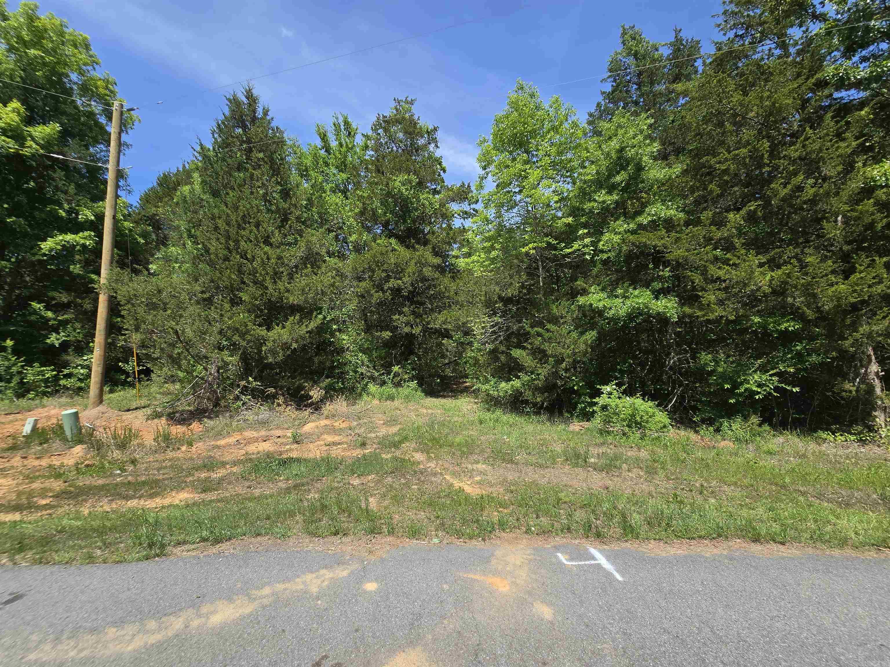 20 Della Carter  Conway, AR