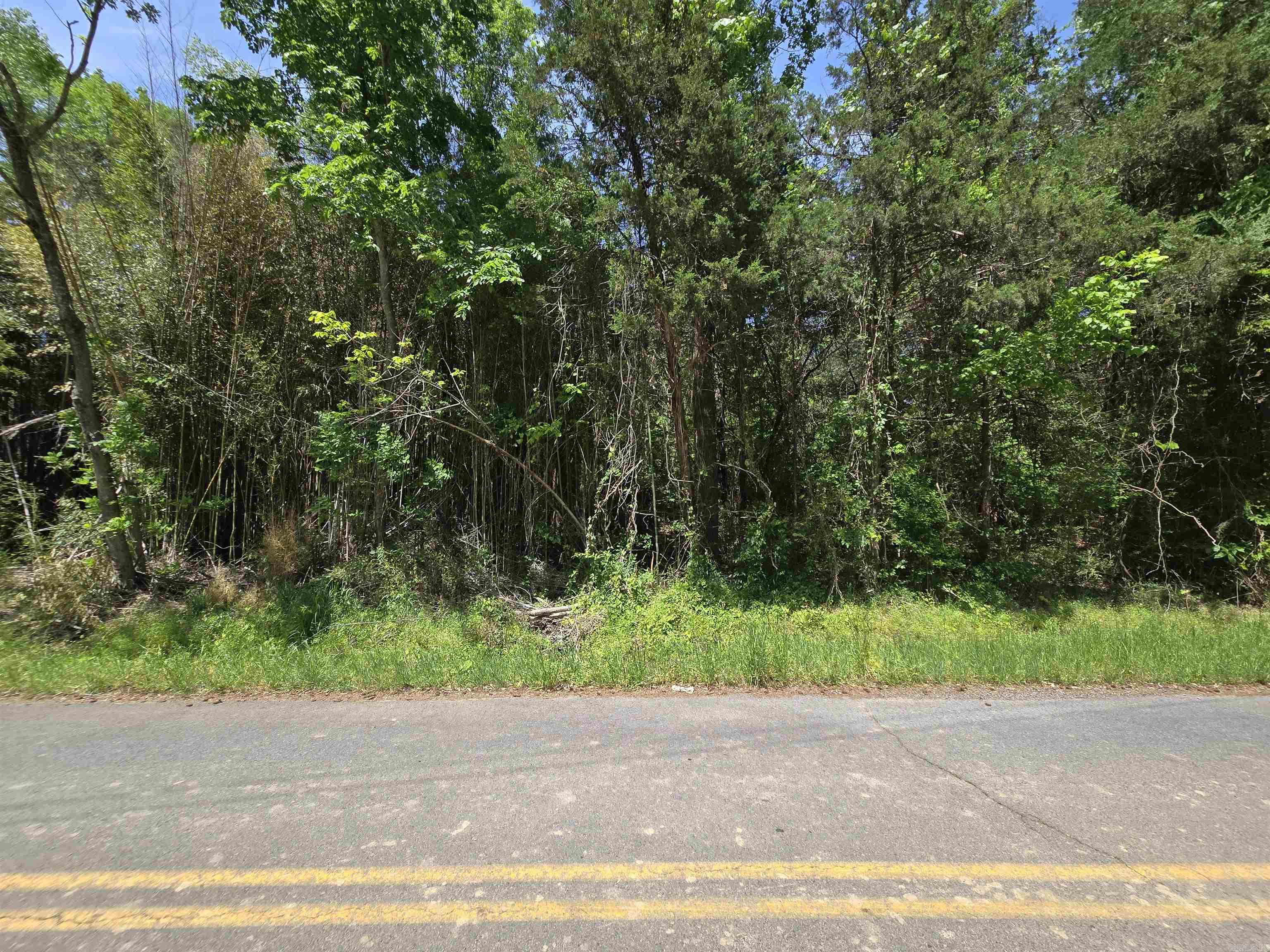 20 Della Carter  Conway, AR