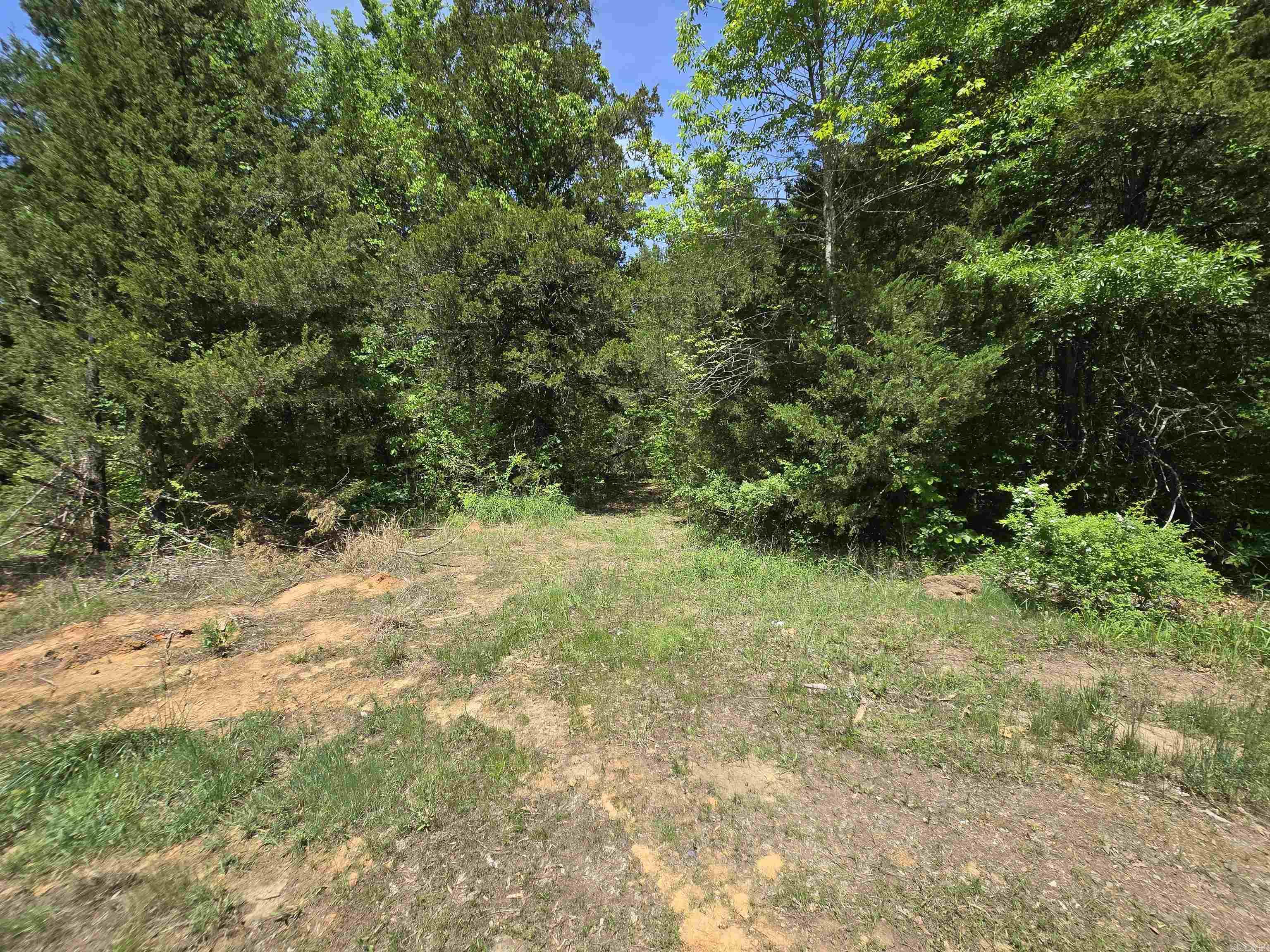 20 Della Carter  Conway, AR