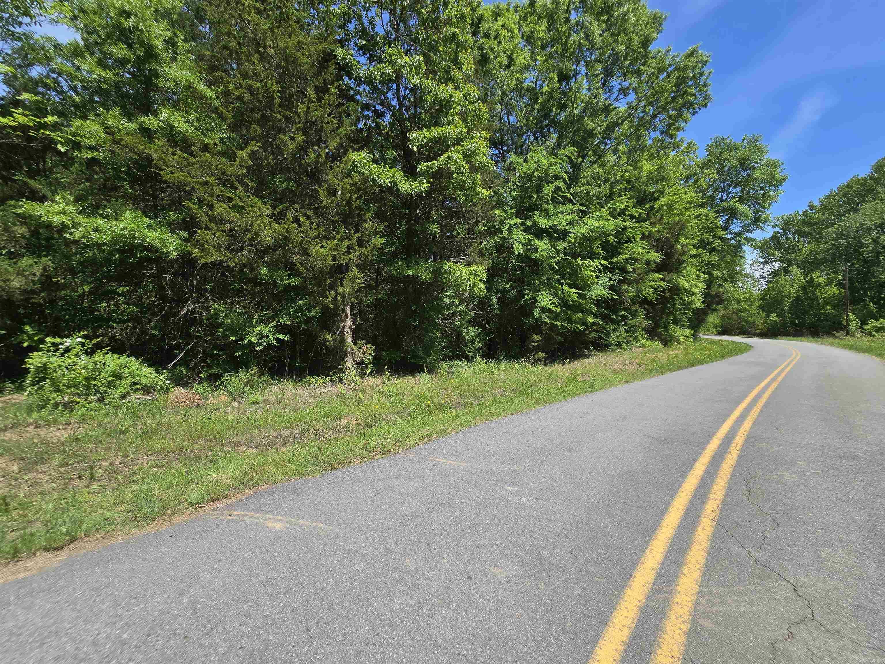 20 Della Carter  Conway, AR