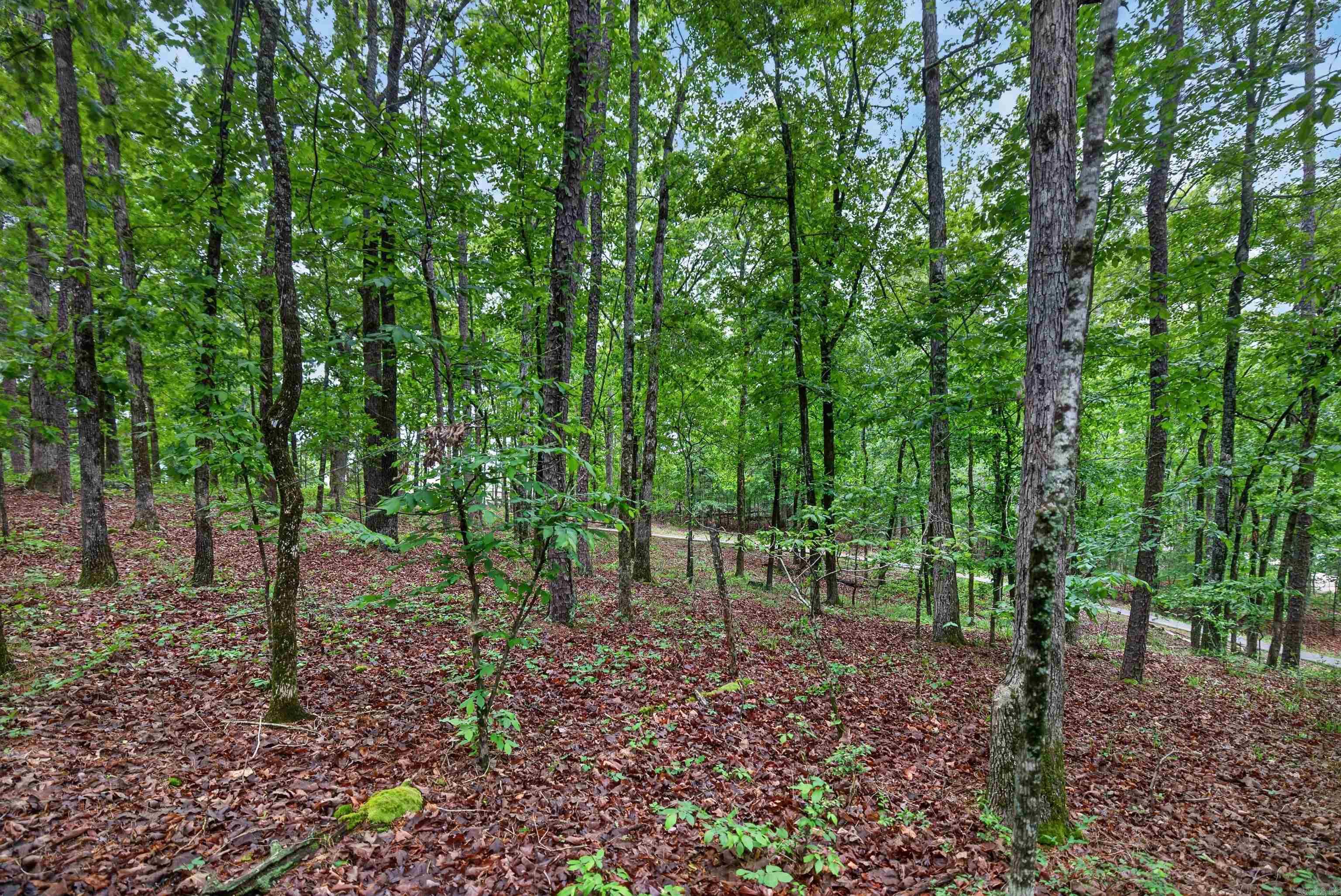 38 Belleza  Hot Springs Village, AR