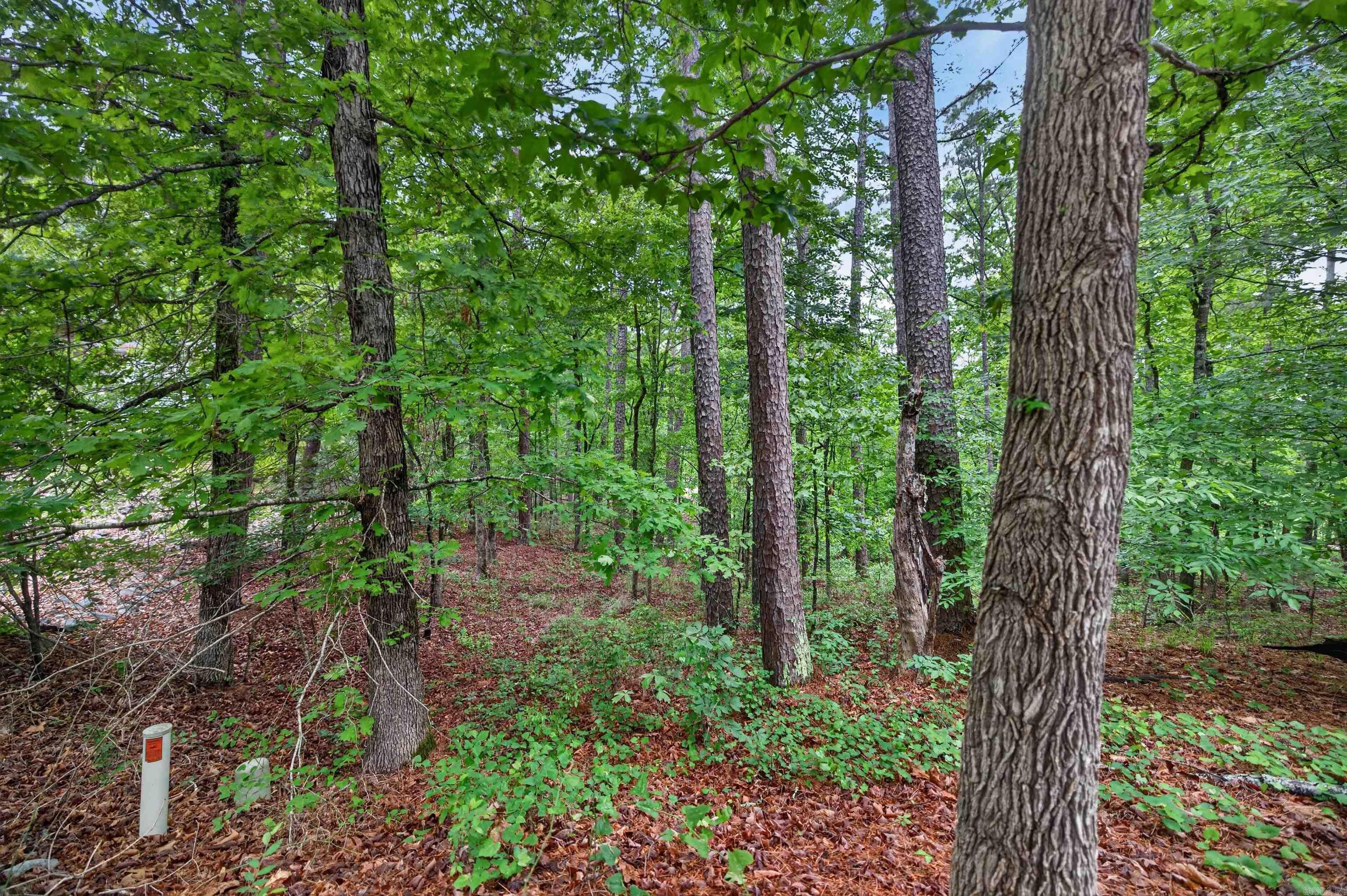 38 Belleza  Hot Springs Village, AR