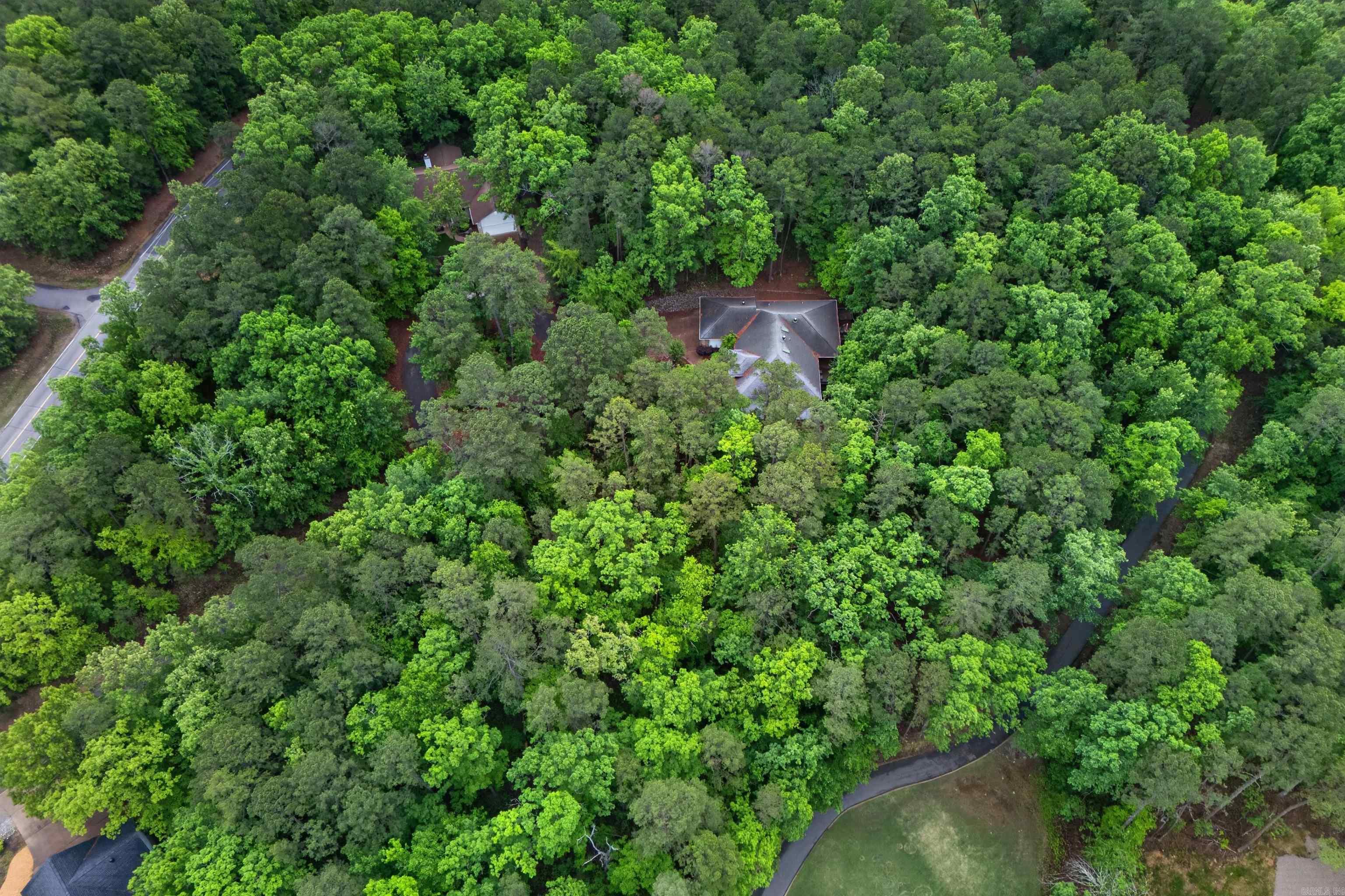 38 Belleza  Hot Springs Village, AR