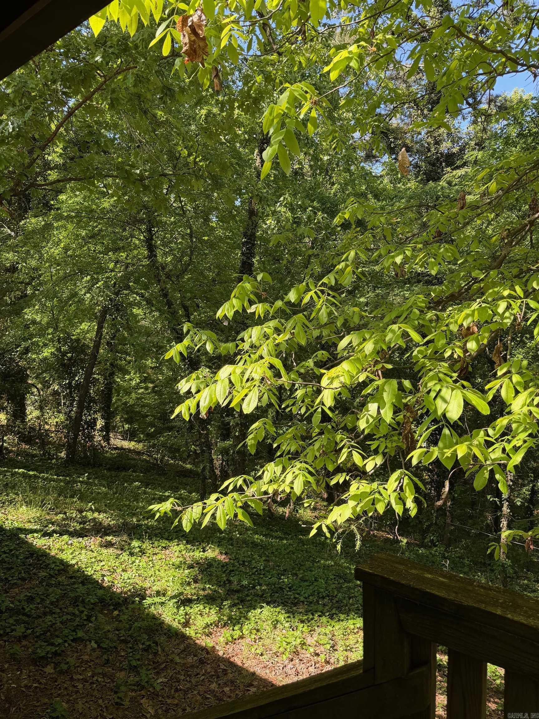 9 King  Clarksville, AR