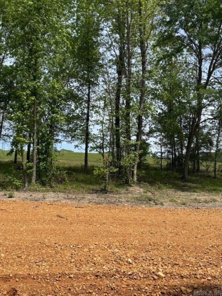TBD Maddox Tract 6 Arkadelphia, AR