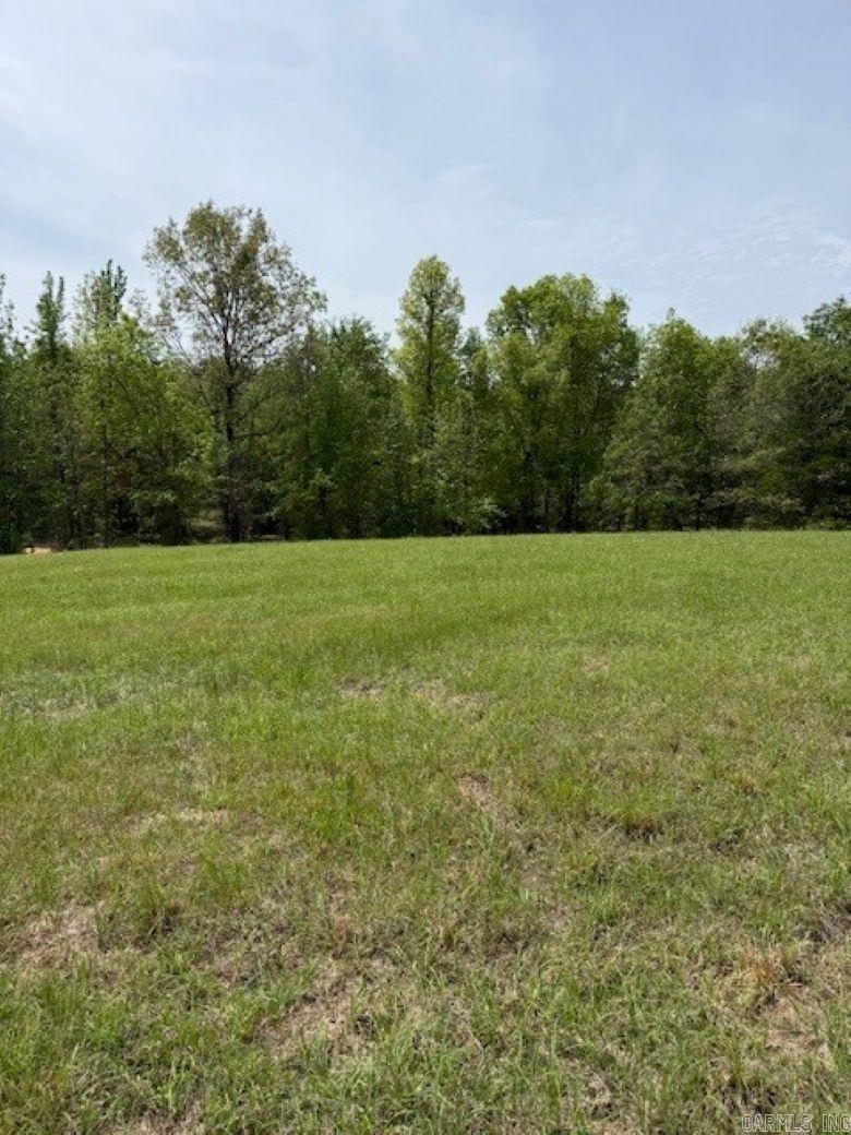 TBD Maddox Tract 6 Arkadelphia, AR