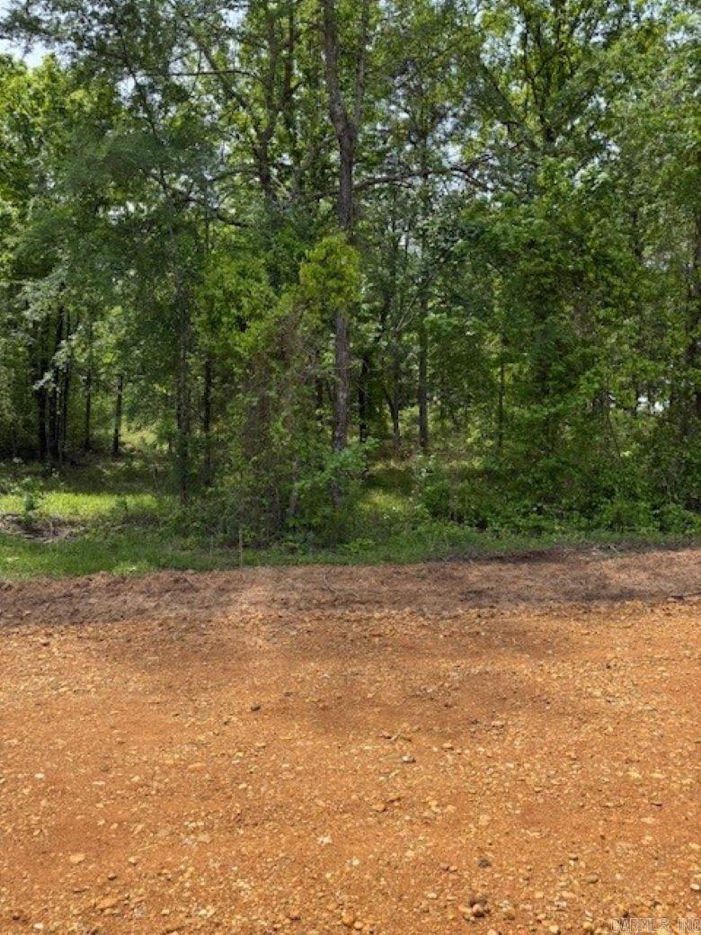 TBD Maddox Tract 1 Arkadelphia, AR