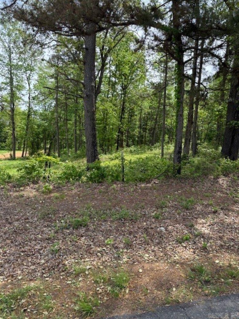 TBD Maddox Tract 1 Arkadelphia, AR