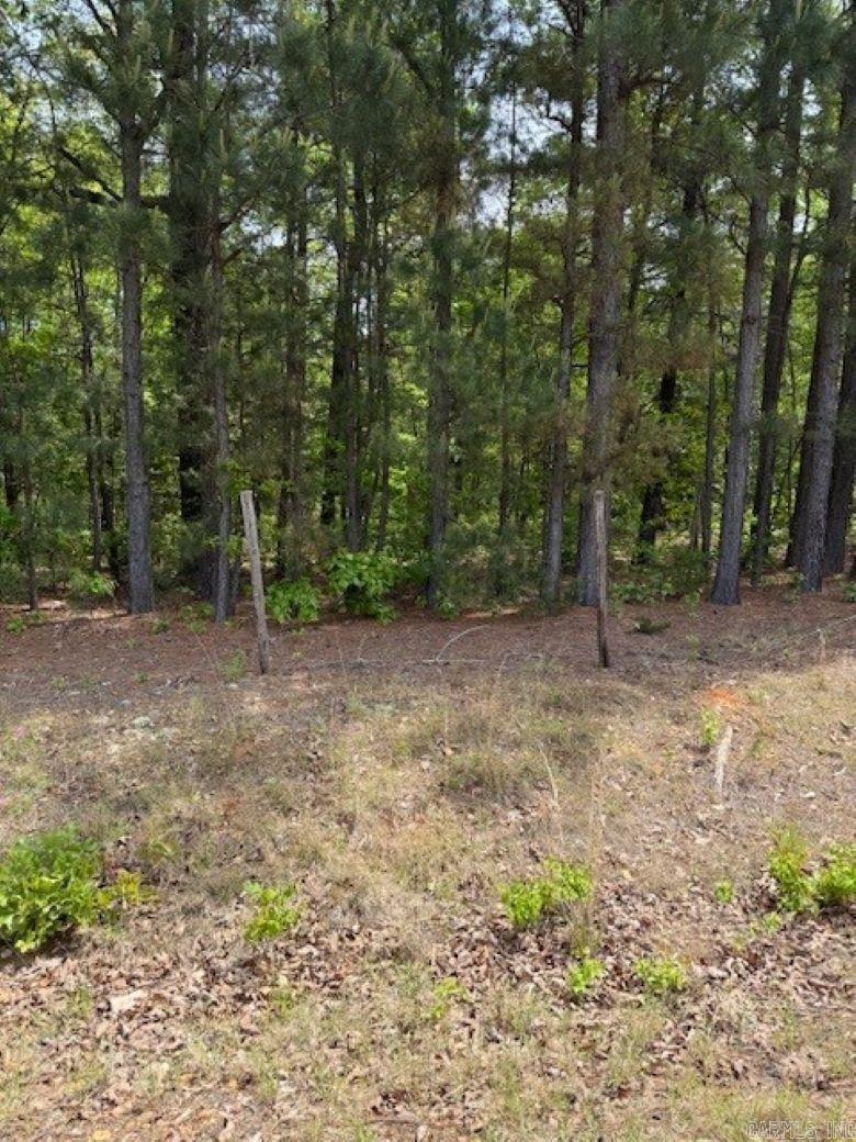 TBD Maddox Tract 1 Arkadelphia, AR