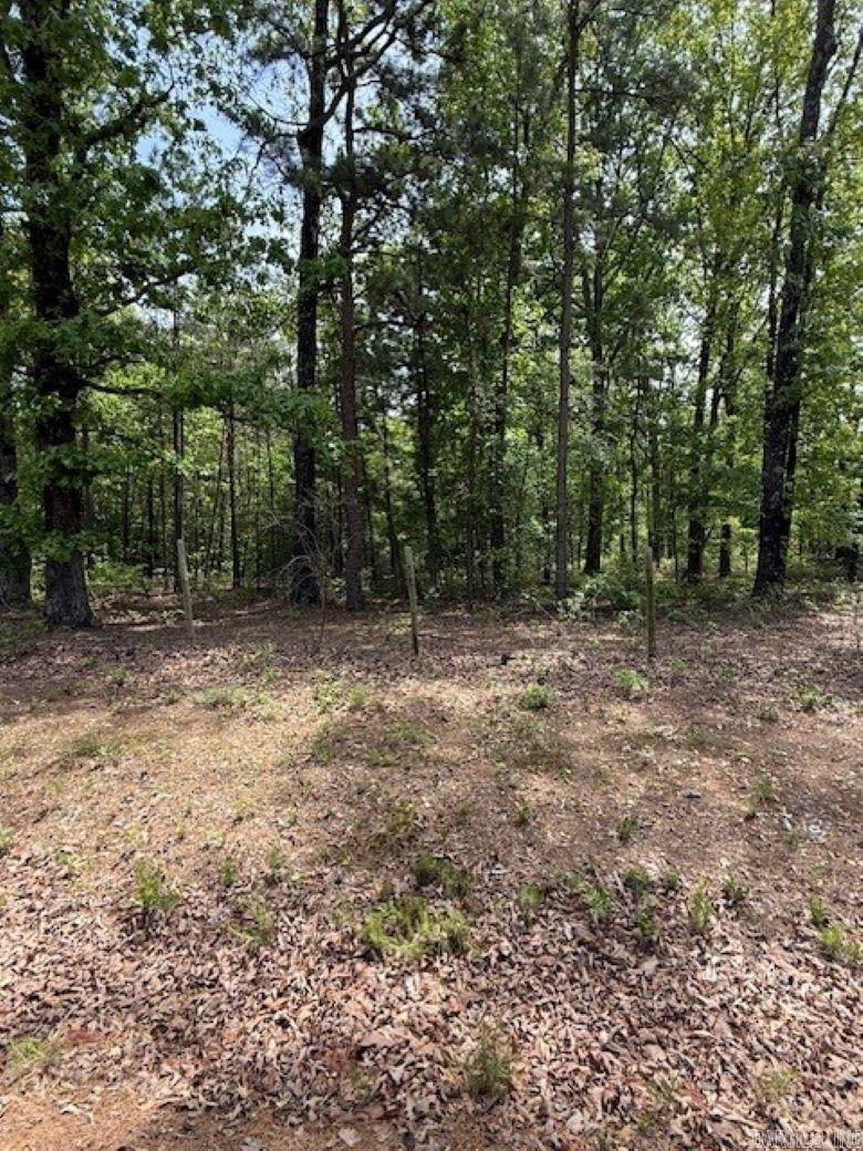 TBD Maddox Tract 3 Arkadelphia, AR