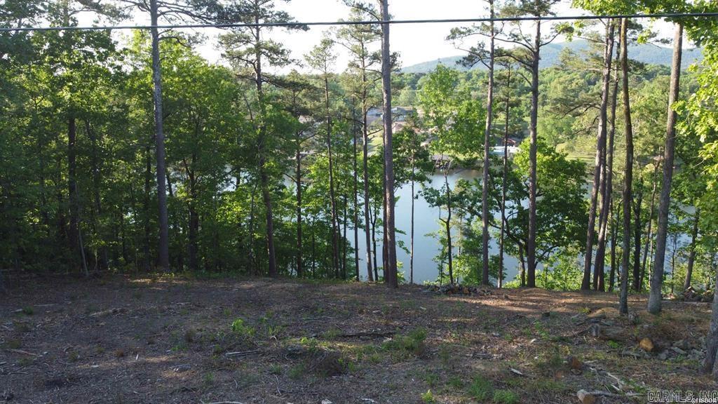 000 B Lakeshore  Hot Springs, AR