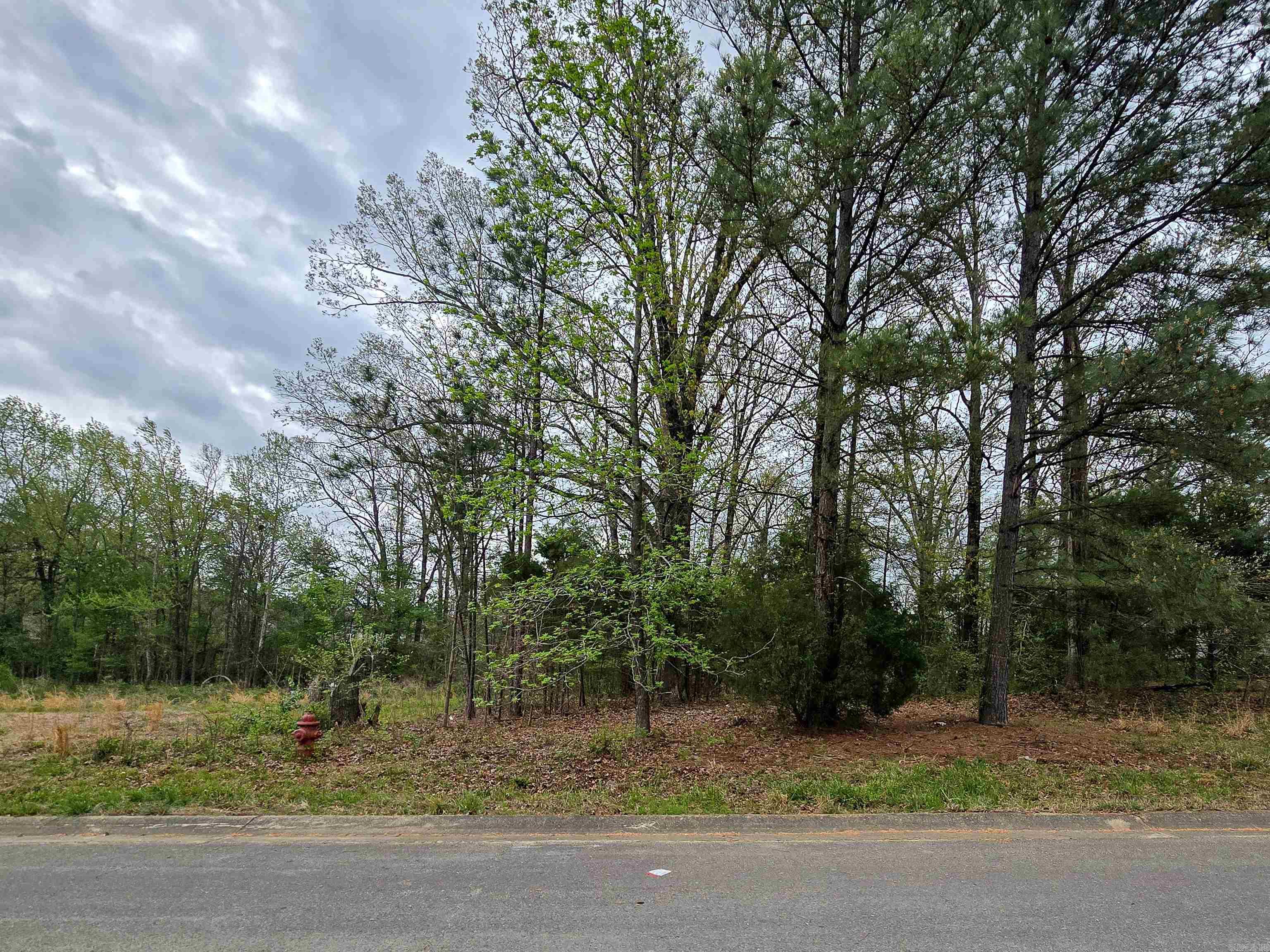 Lot 3 Blck B Alex Dr  Jonesboro, AR