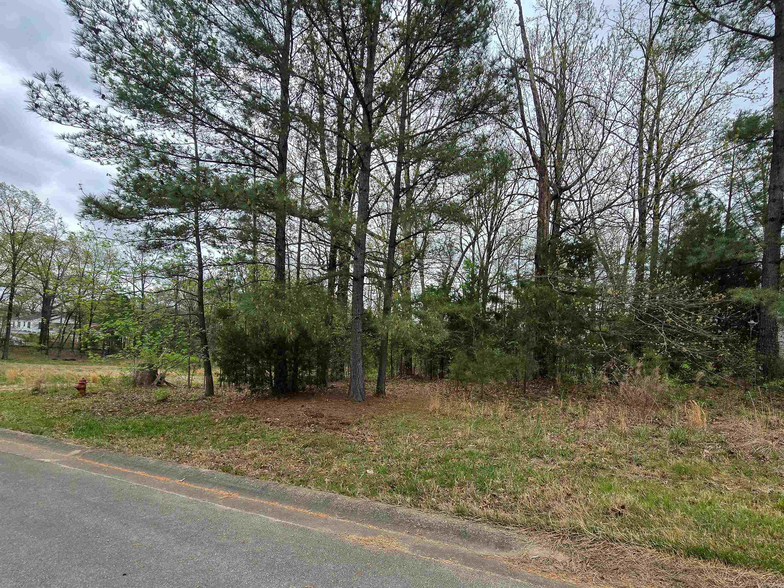 Lot 3 Blck B Alex Dr  Jonesboro, AR