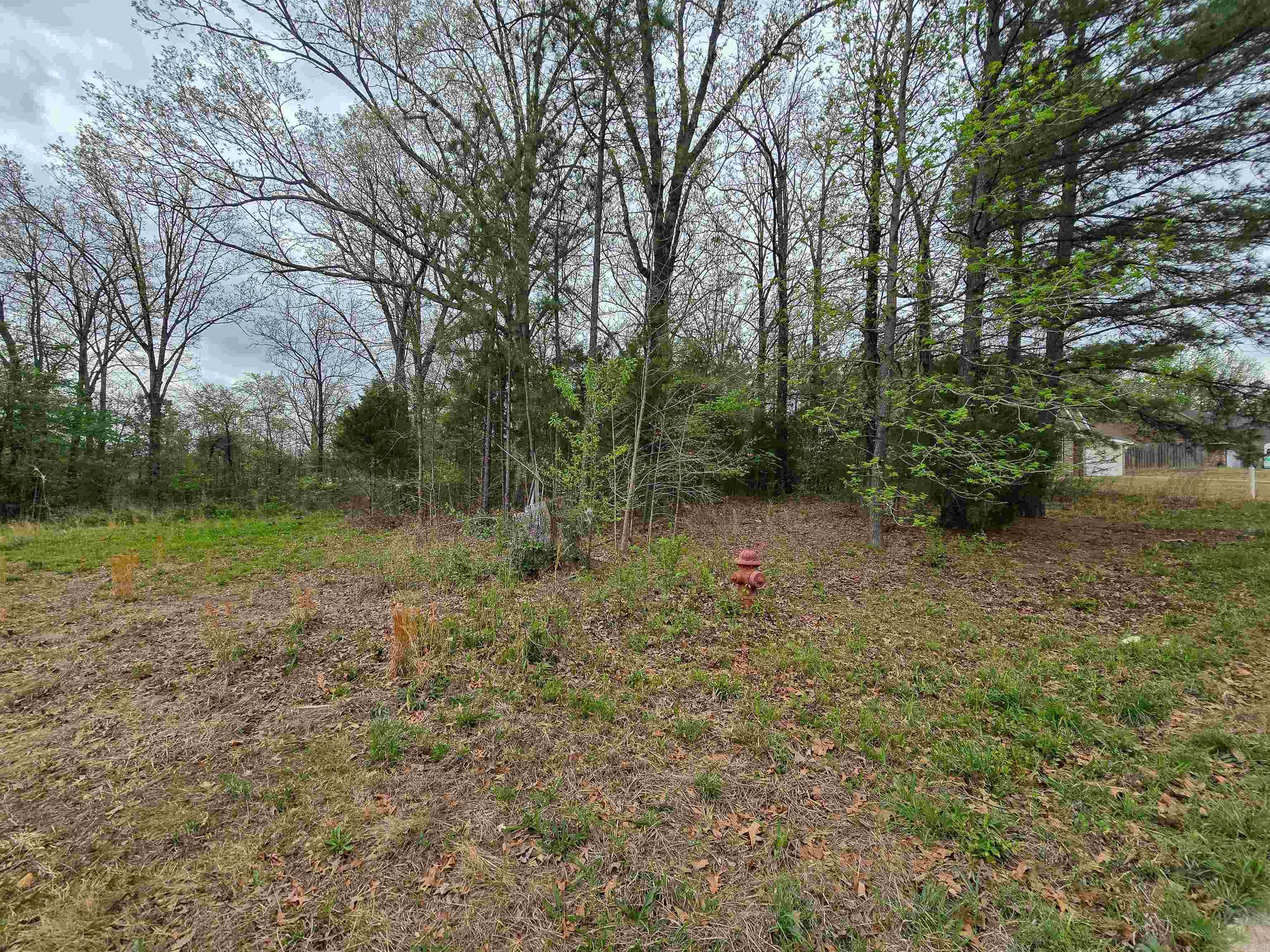 Lot 3 Blck B Alex Dr  Jonesboro, AR