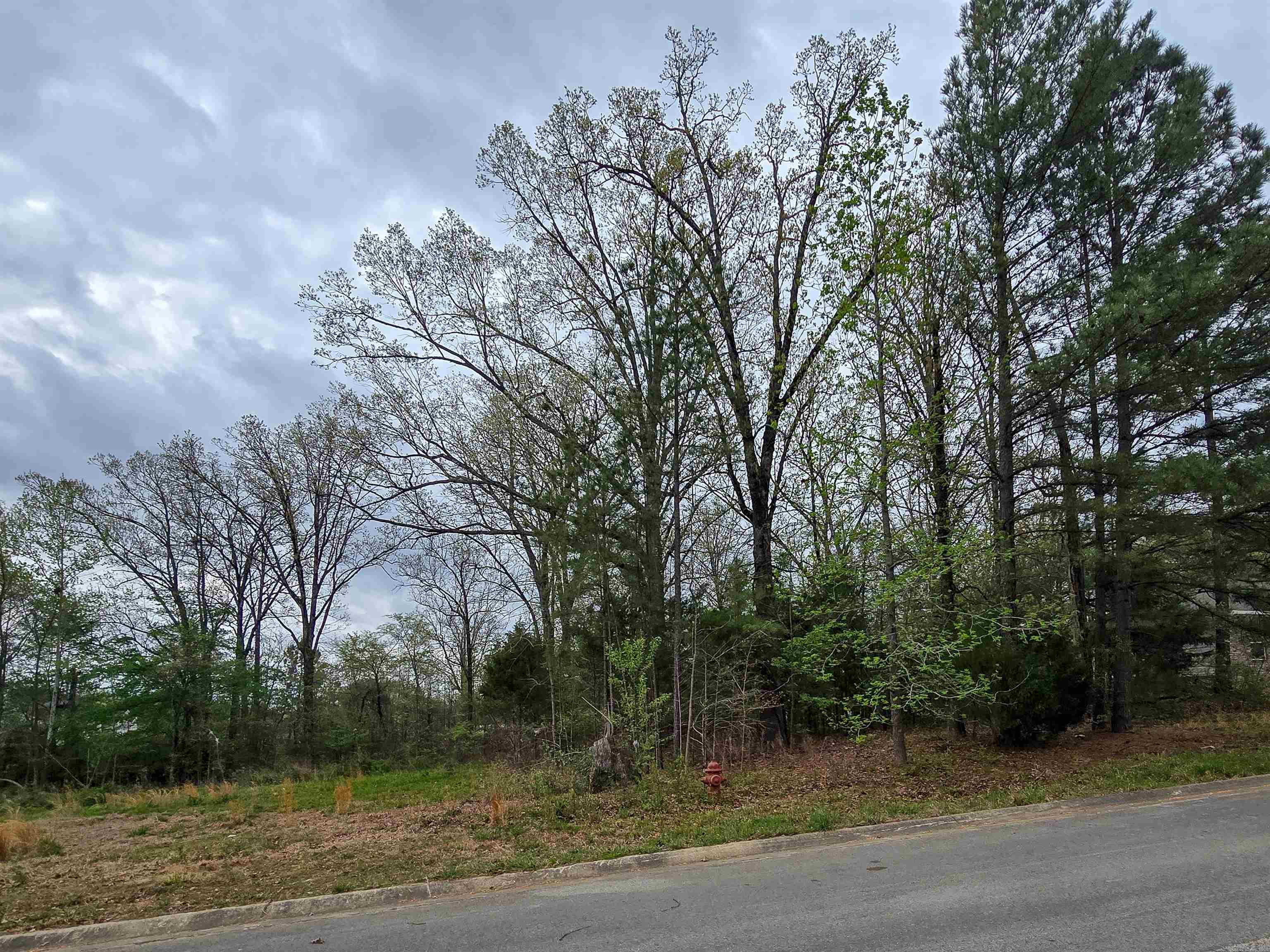 Lot 3 Blck B Alex Dr  Jonesboro, AR