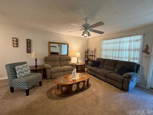 110 Carousel Rd  Southside, AR