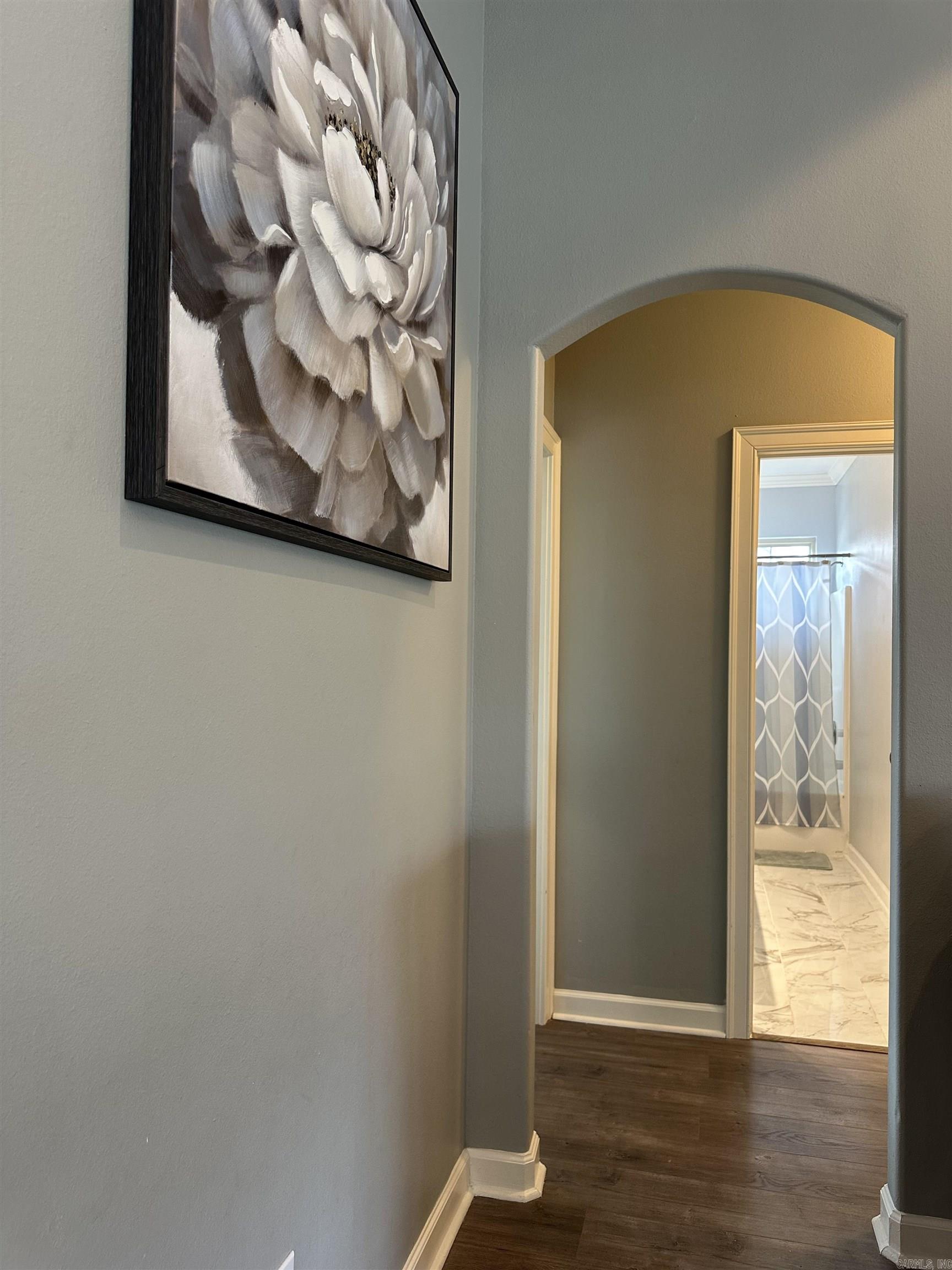 3114 Overo  Benton, AR