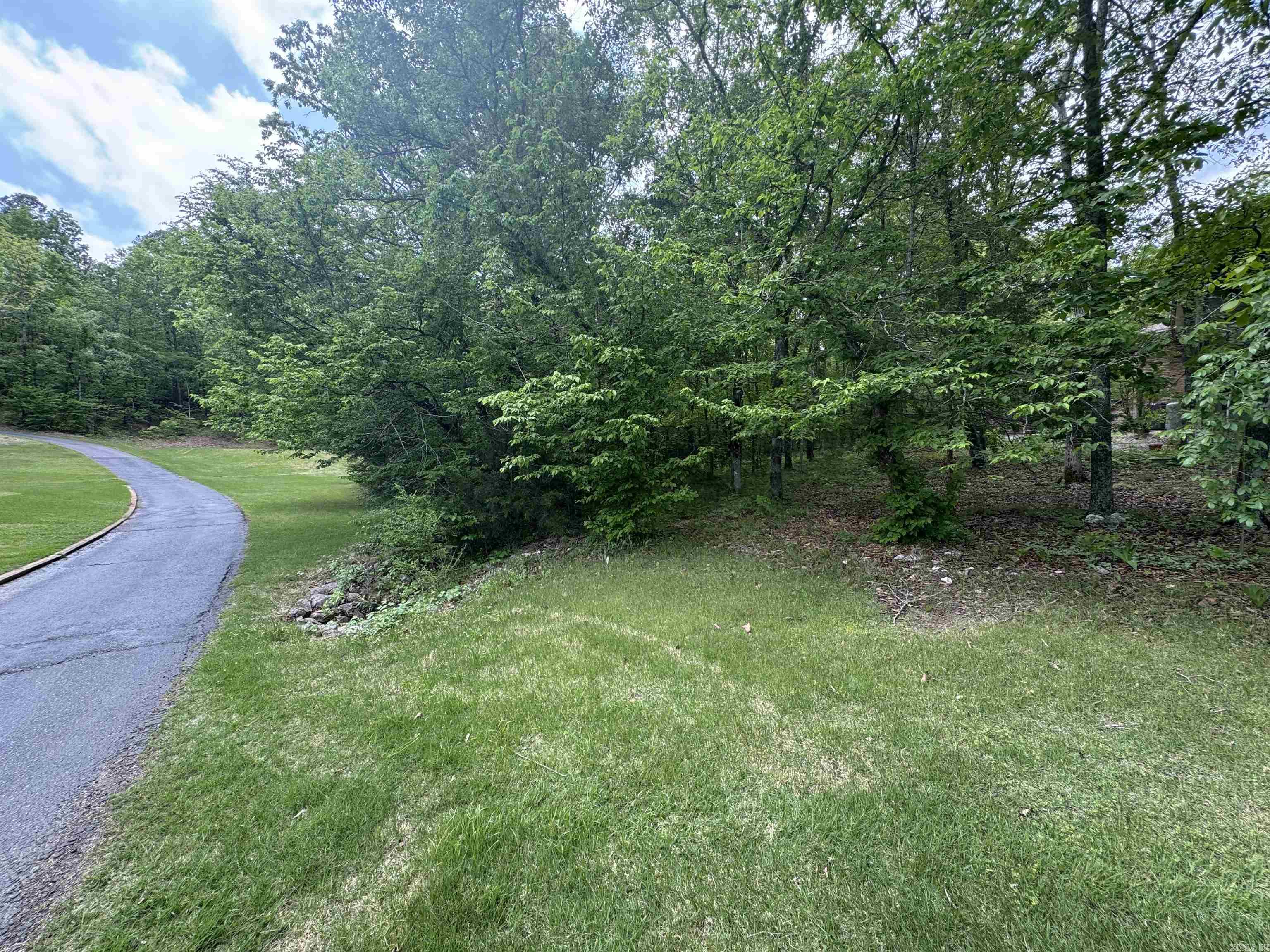 00 Debutar  Hot Springs Village, AR